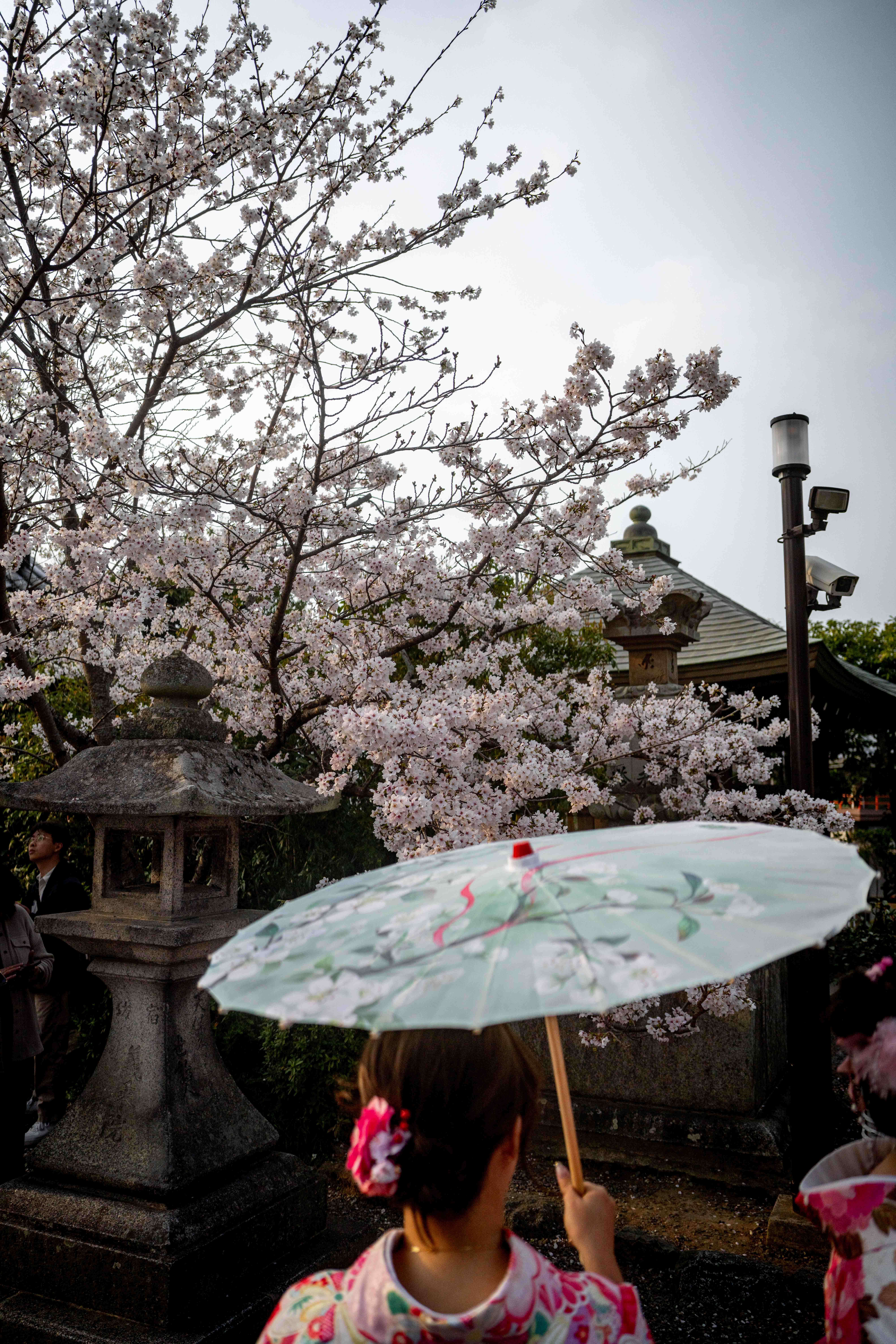 Photos from Tokyo and Kyoto, Japan, Spring 2026.
