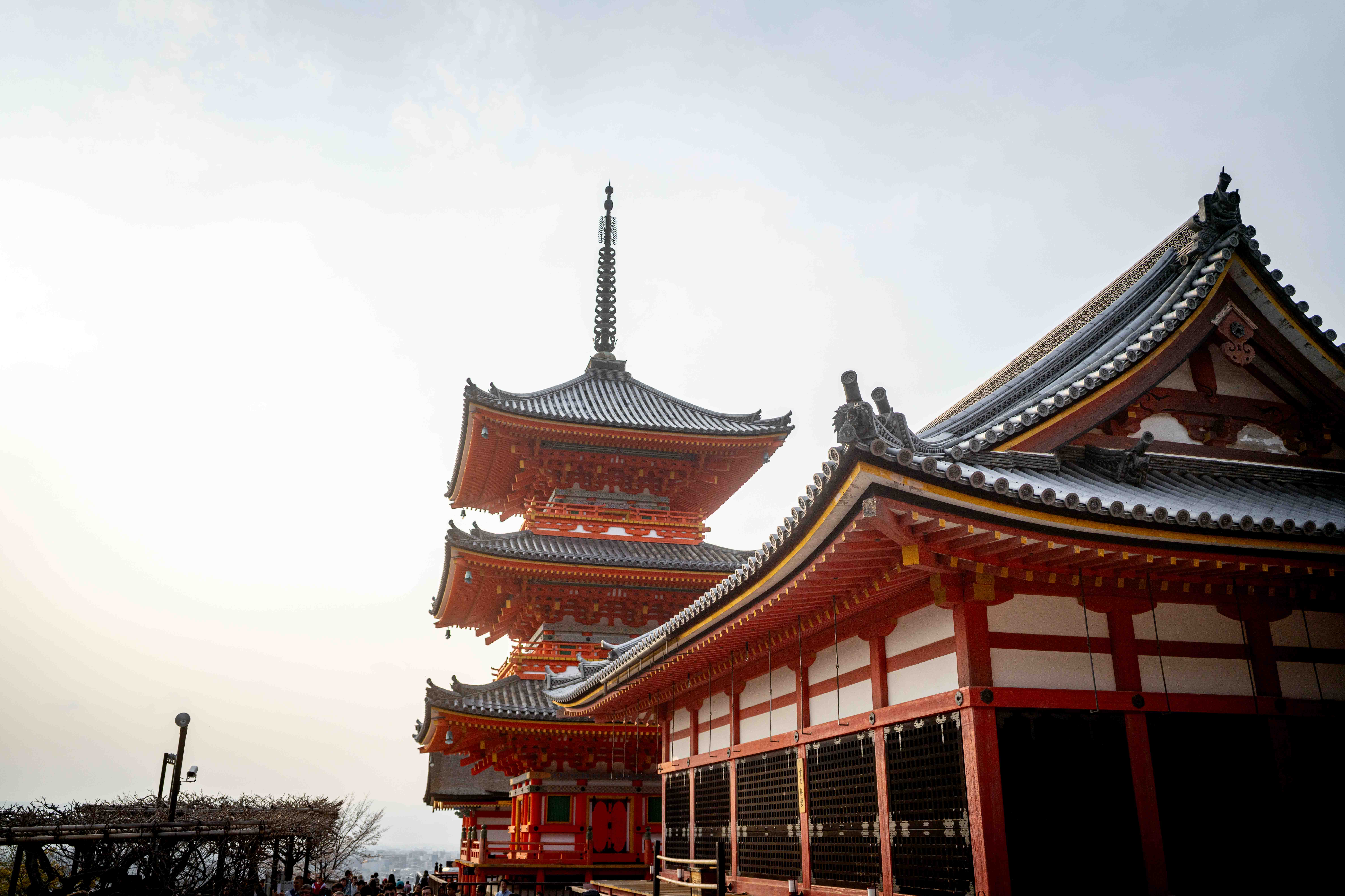 Photos from Tokyo and Kyoto, Japan, Spring 2026.