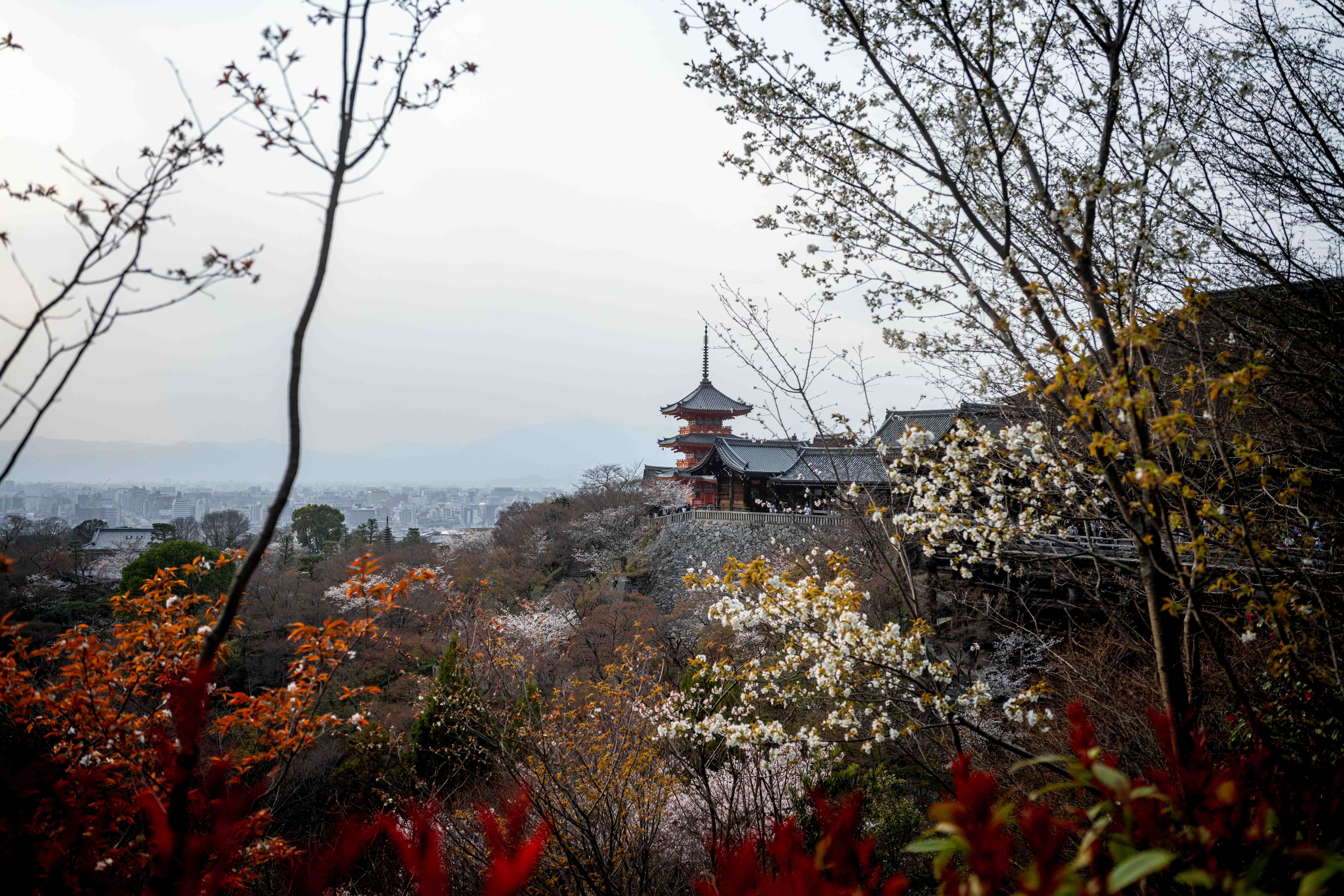 Photos from Tokyo and Kyoto, Japan, Spring 2026.