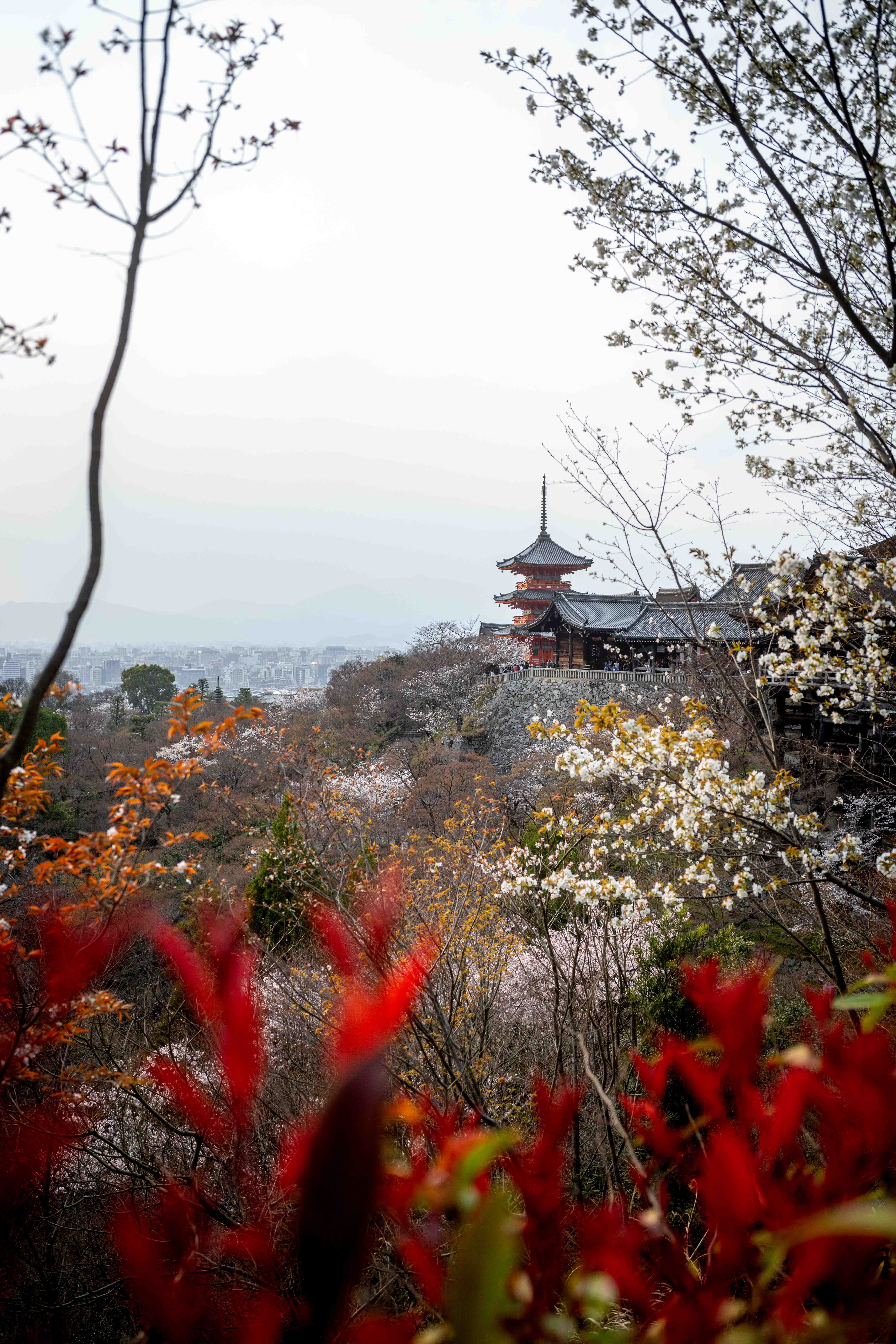 Photos from Tokyo and Kyoto, Japan, Spring 2026.