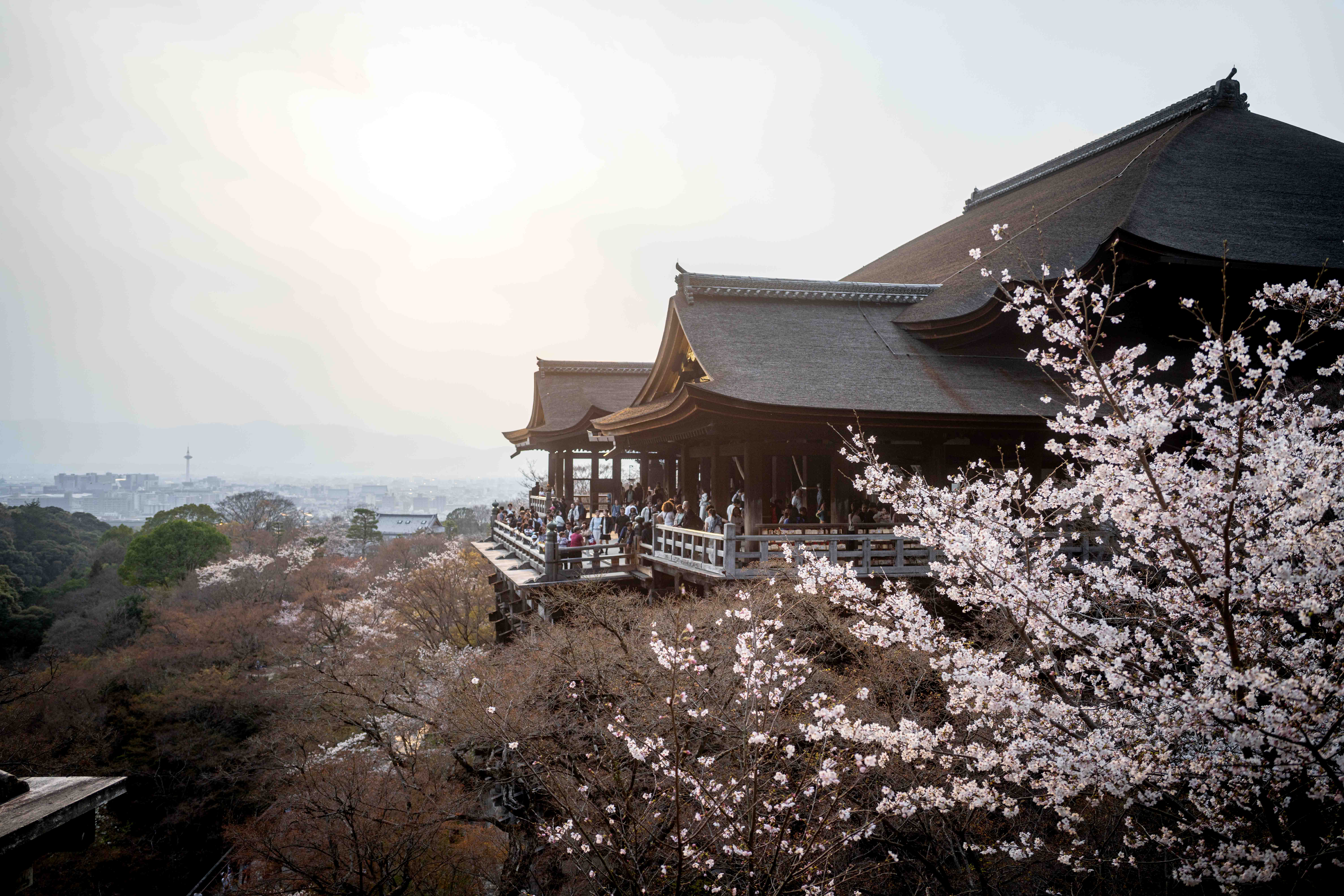 Photos from Tokyo and Kyoto, Japan, Spring 2026.