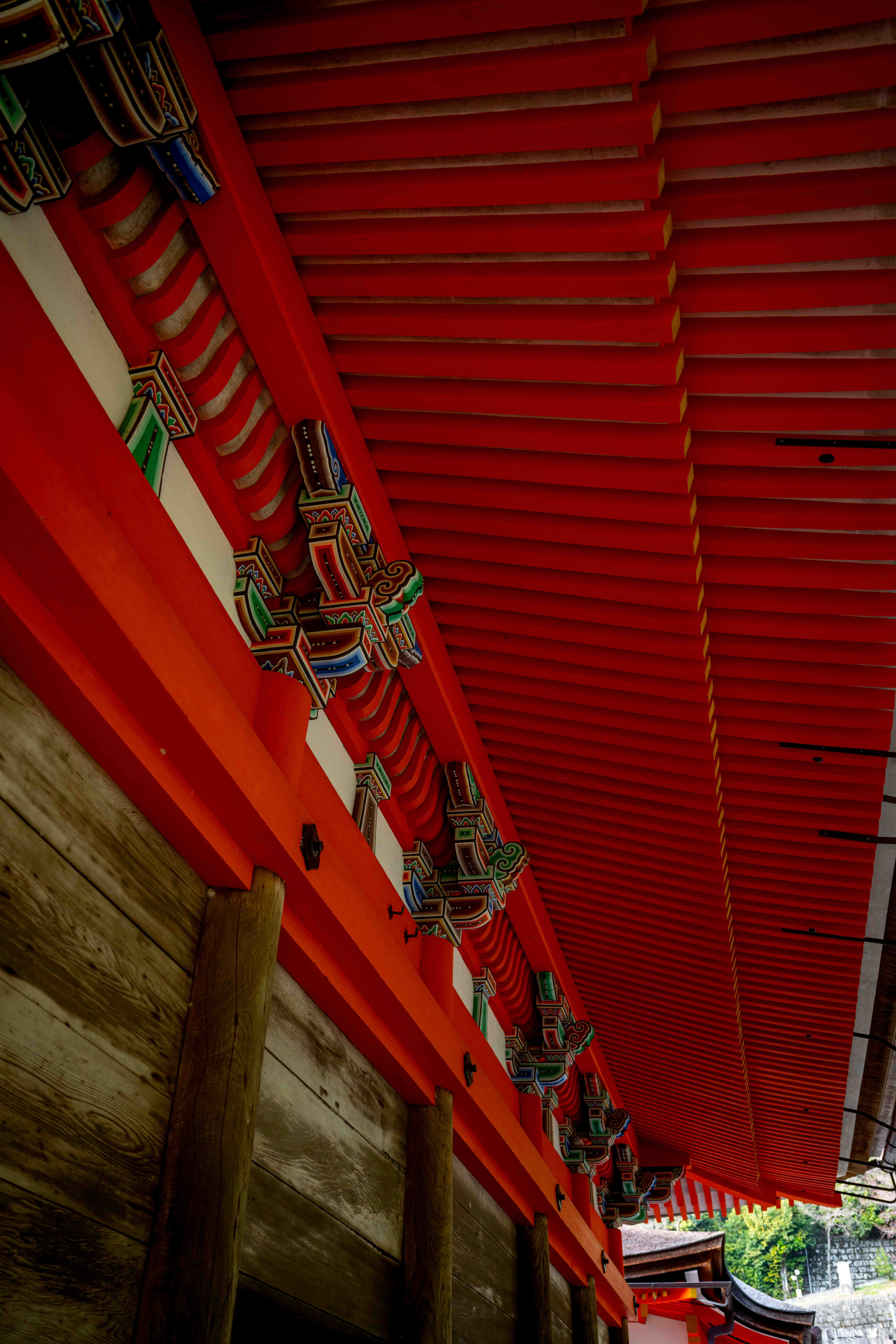 Photos from Tokyo and Kyoto, Japan, Spring 2026.