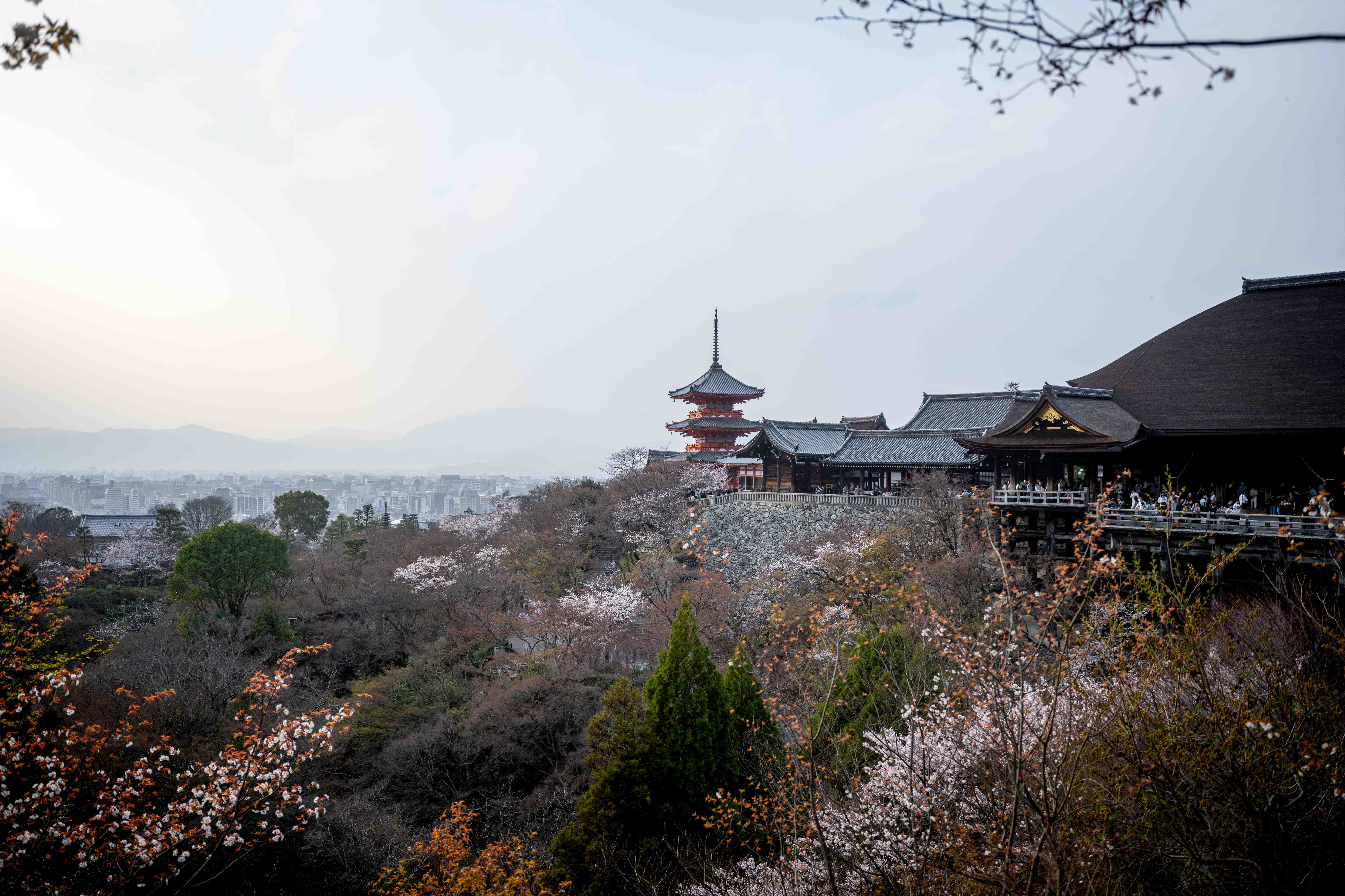 Photos from Tokyo and Kyoto, Japan, Spring 2026.