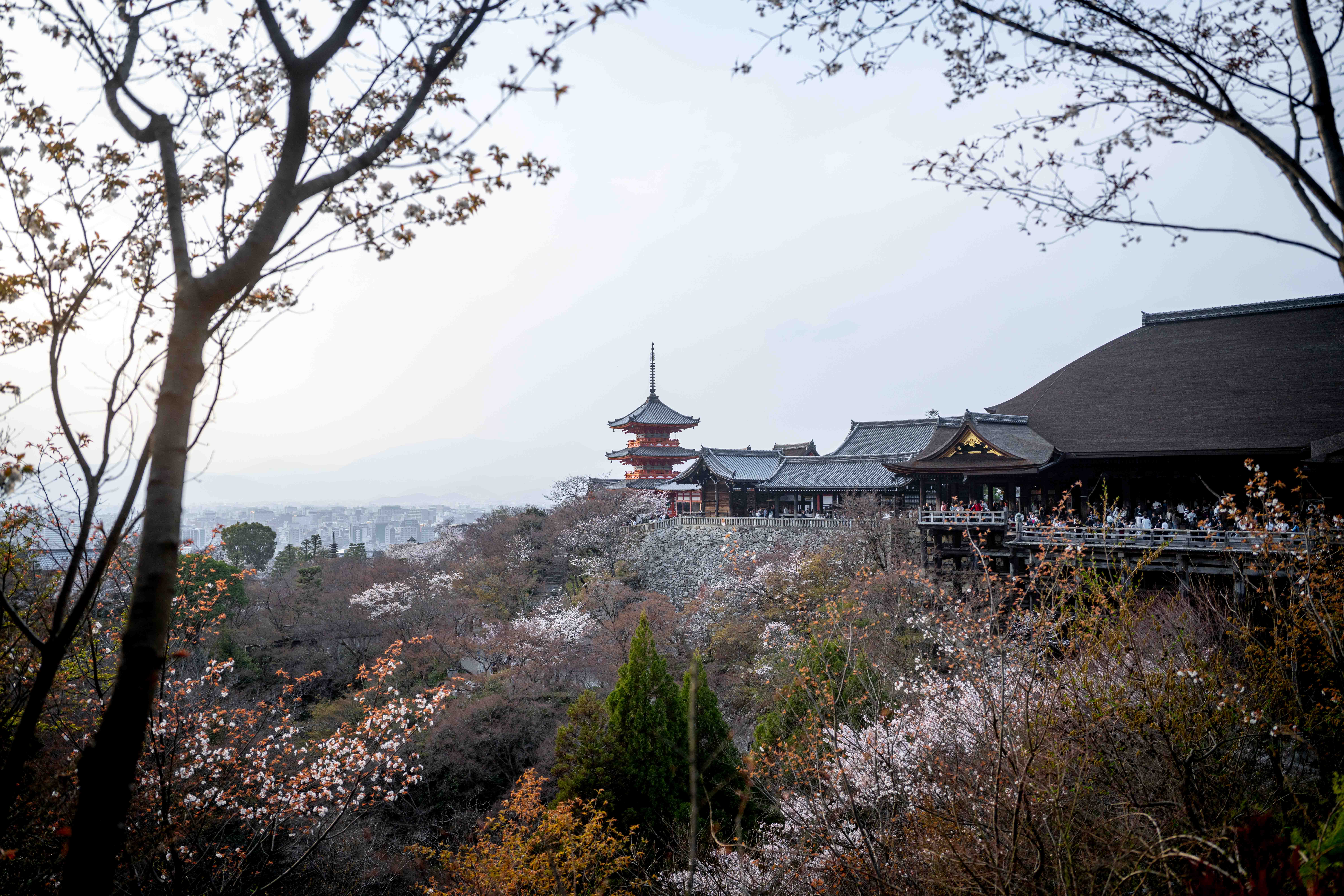 Photos from Tokyo and Kyoto, Japan, Spring 2026.