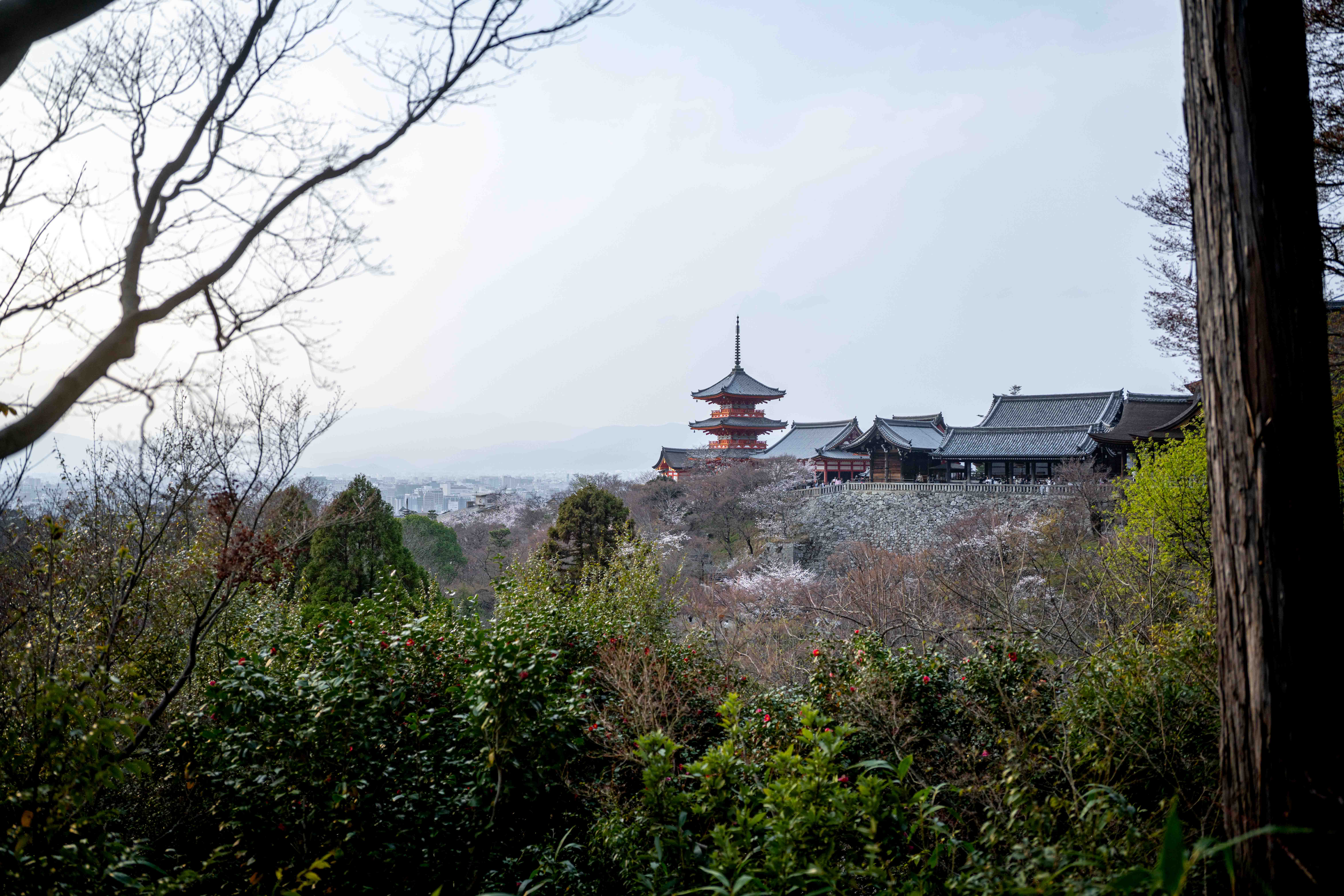Photos from Tokyo and Kyoto, Japan, Spring 2026.