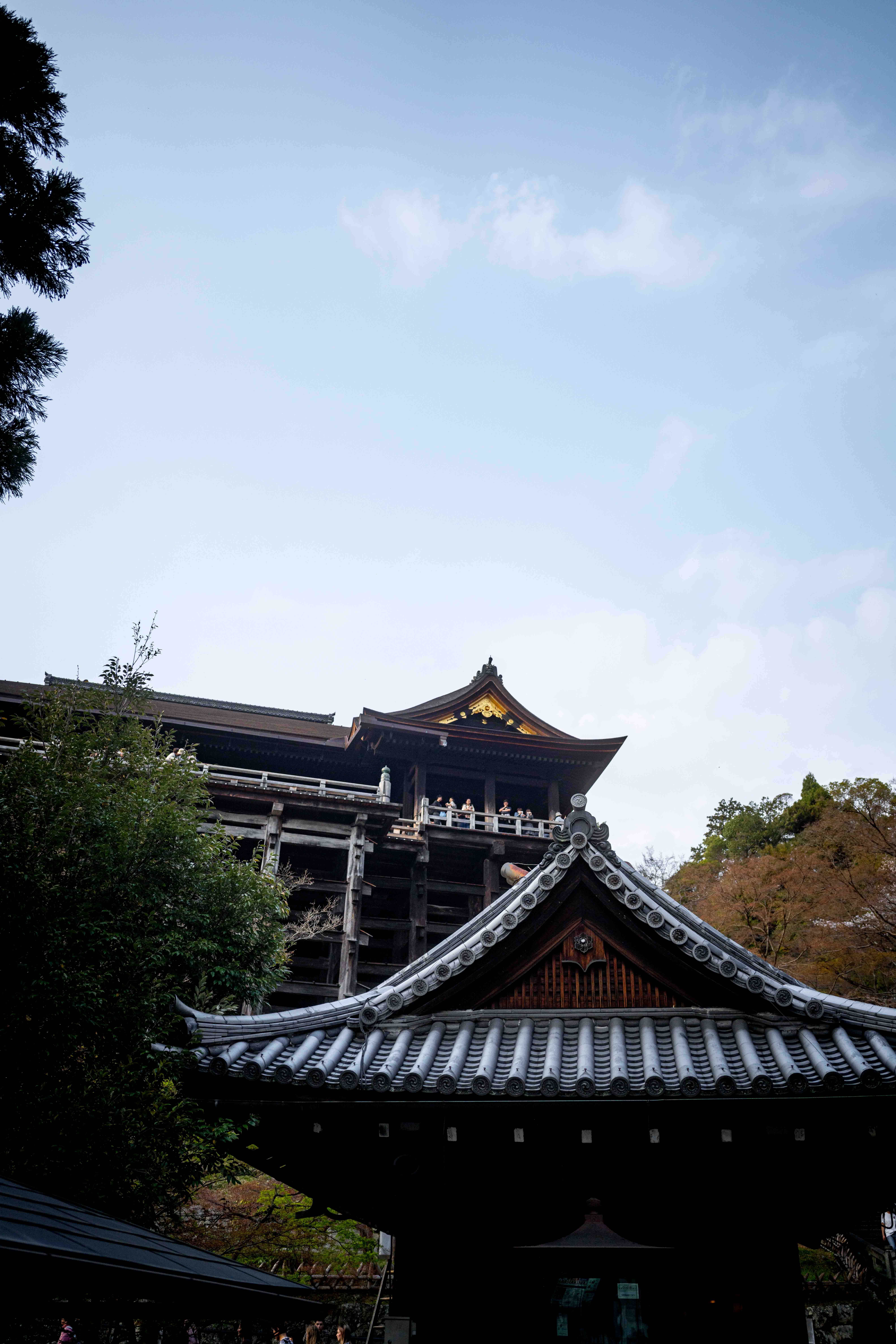 Photos from Tokyo and Kyoto, Japan, Spring 2026.