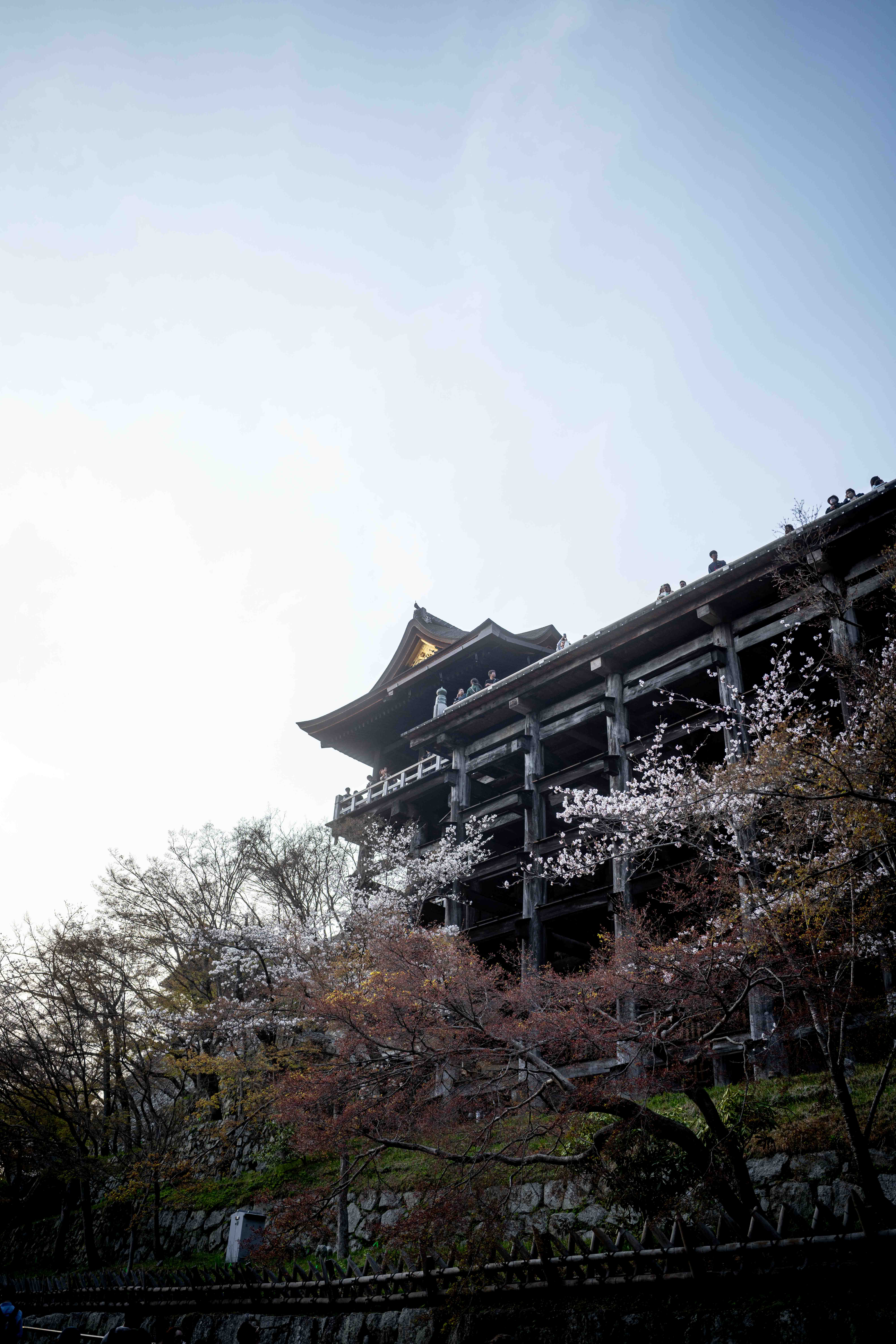 Photos from Tokyo and Kyoto, Japan, Spring 2026.