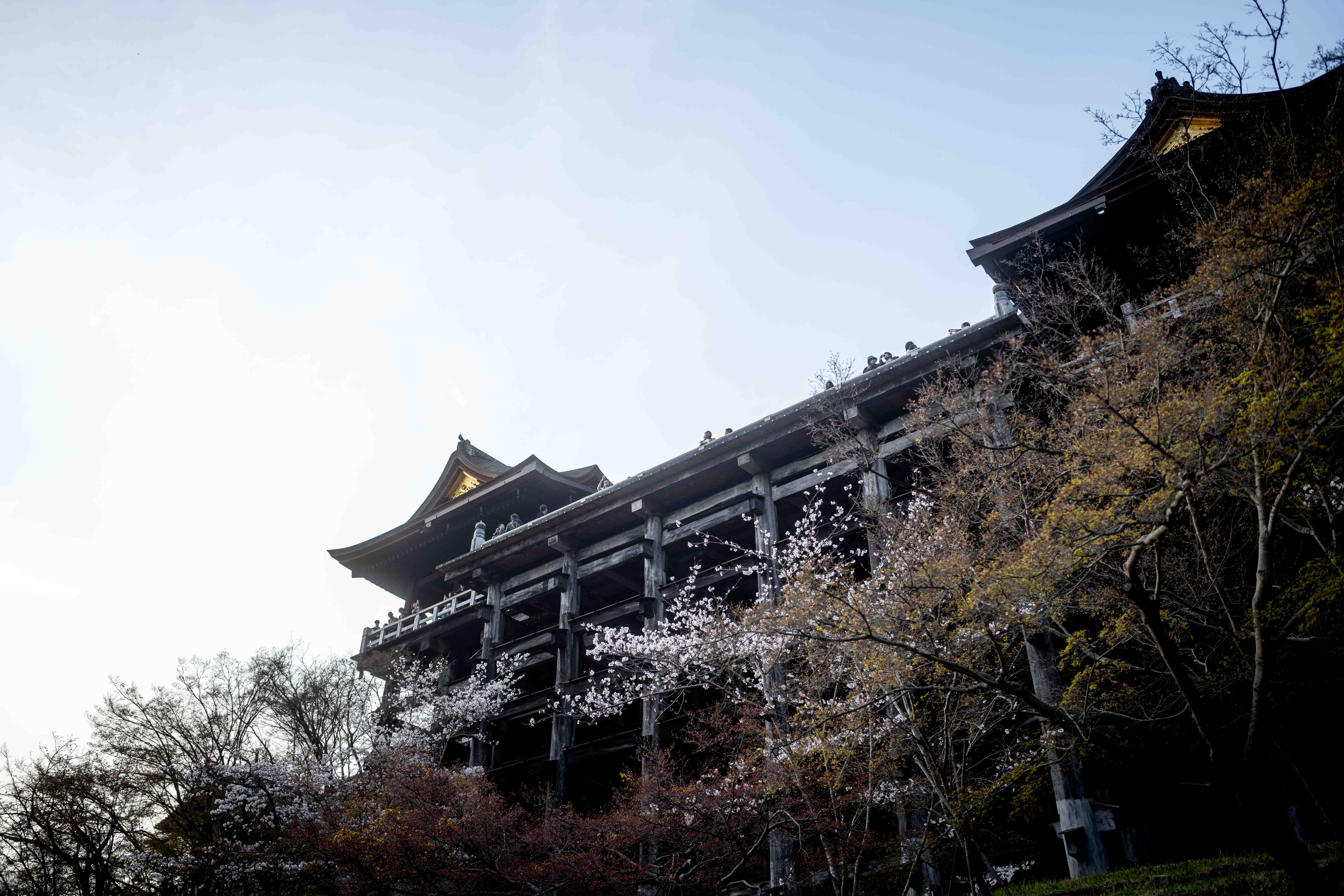 Photos from Tokyo and Kyoto, Japan, Spring 2026.