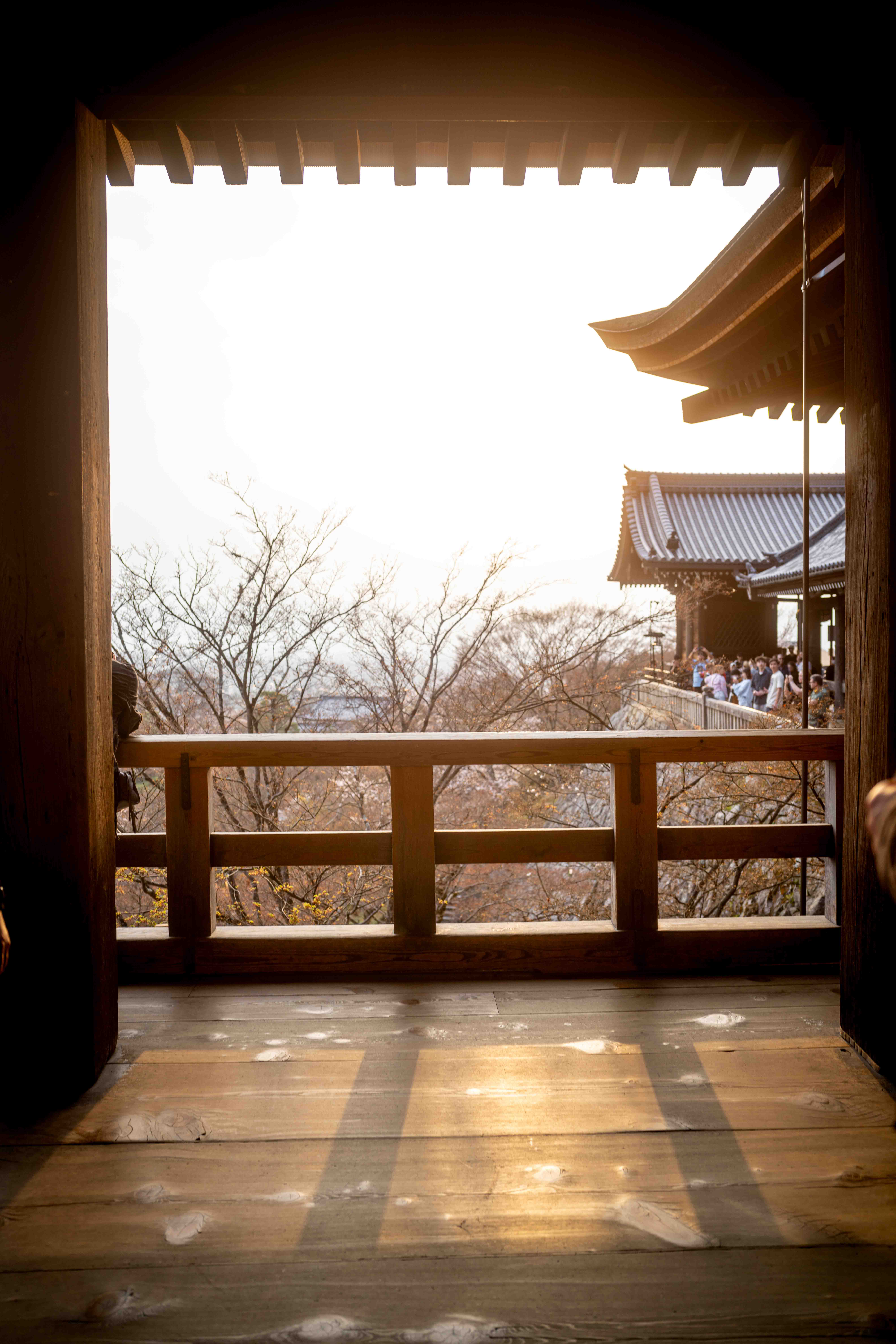 Photos from Tokyo and Kyoto, Japan, Spring 2026.