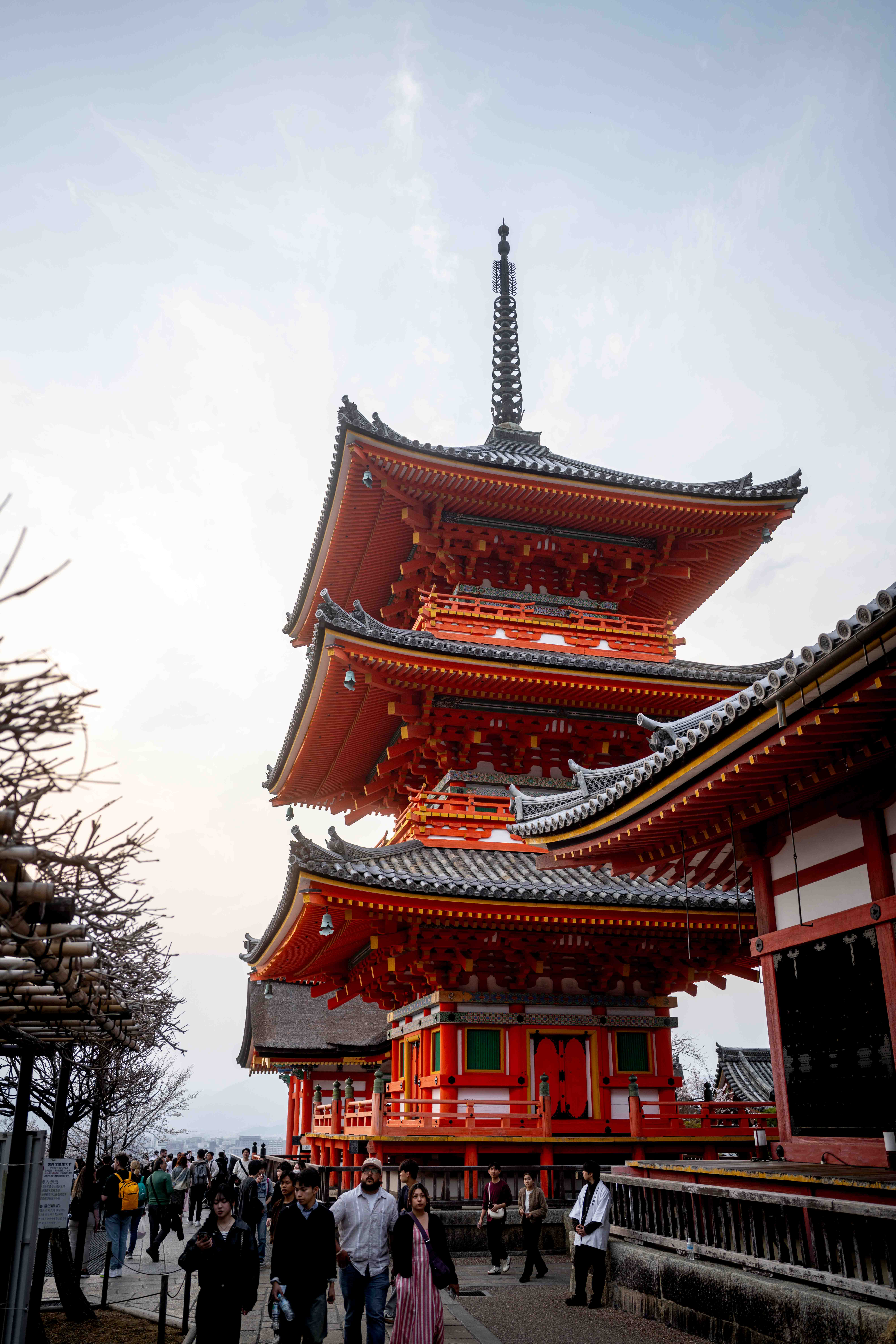 Photos from Tokyo and Kyoto, Japan, Spring 2026.