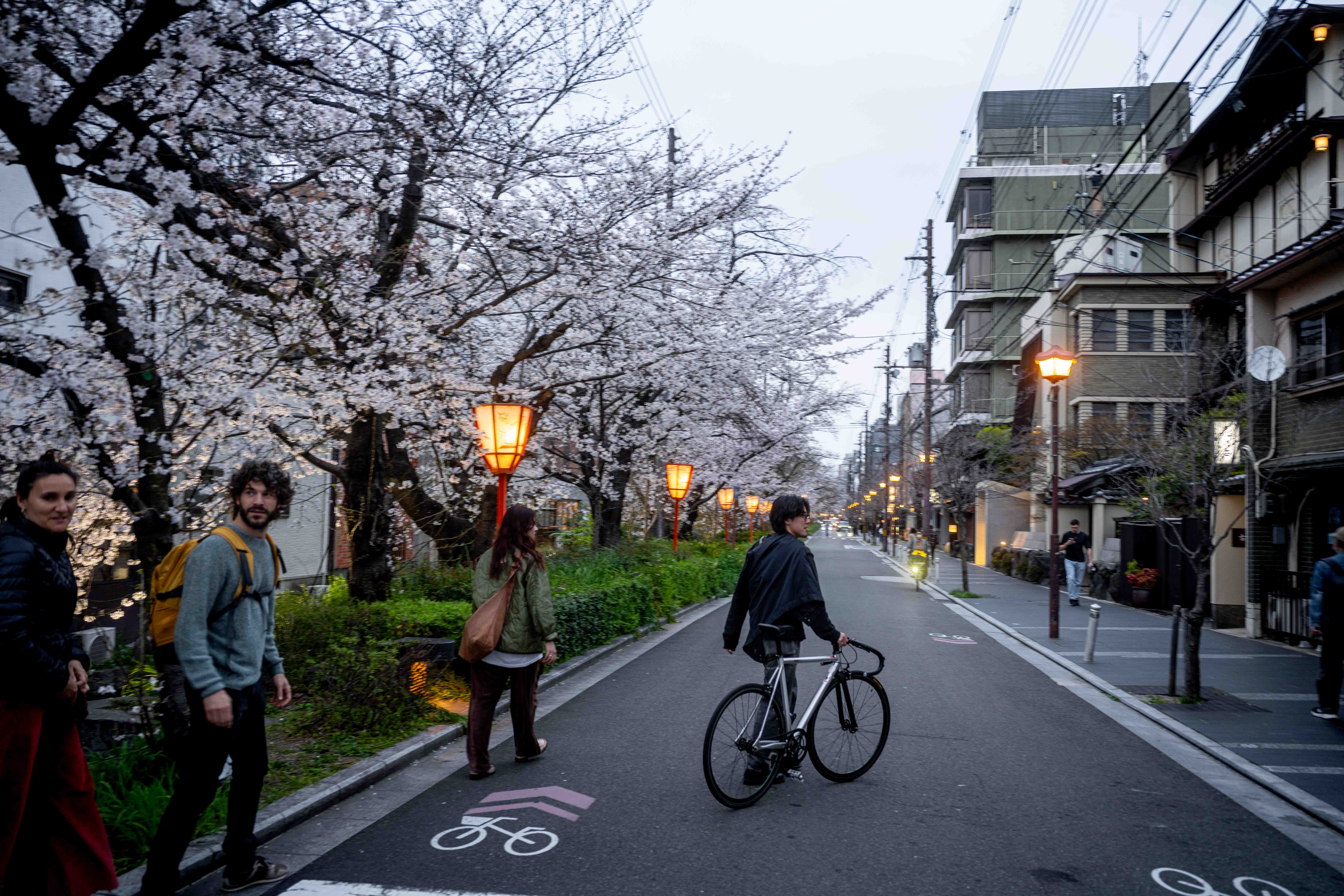 Photos from Tokyo and Kyoto, Japan, Spring 2026.