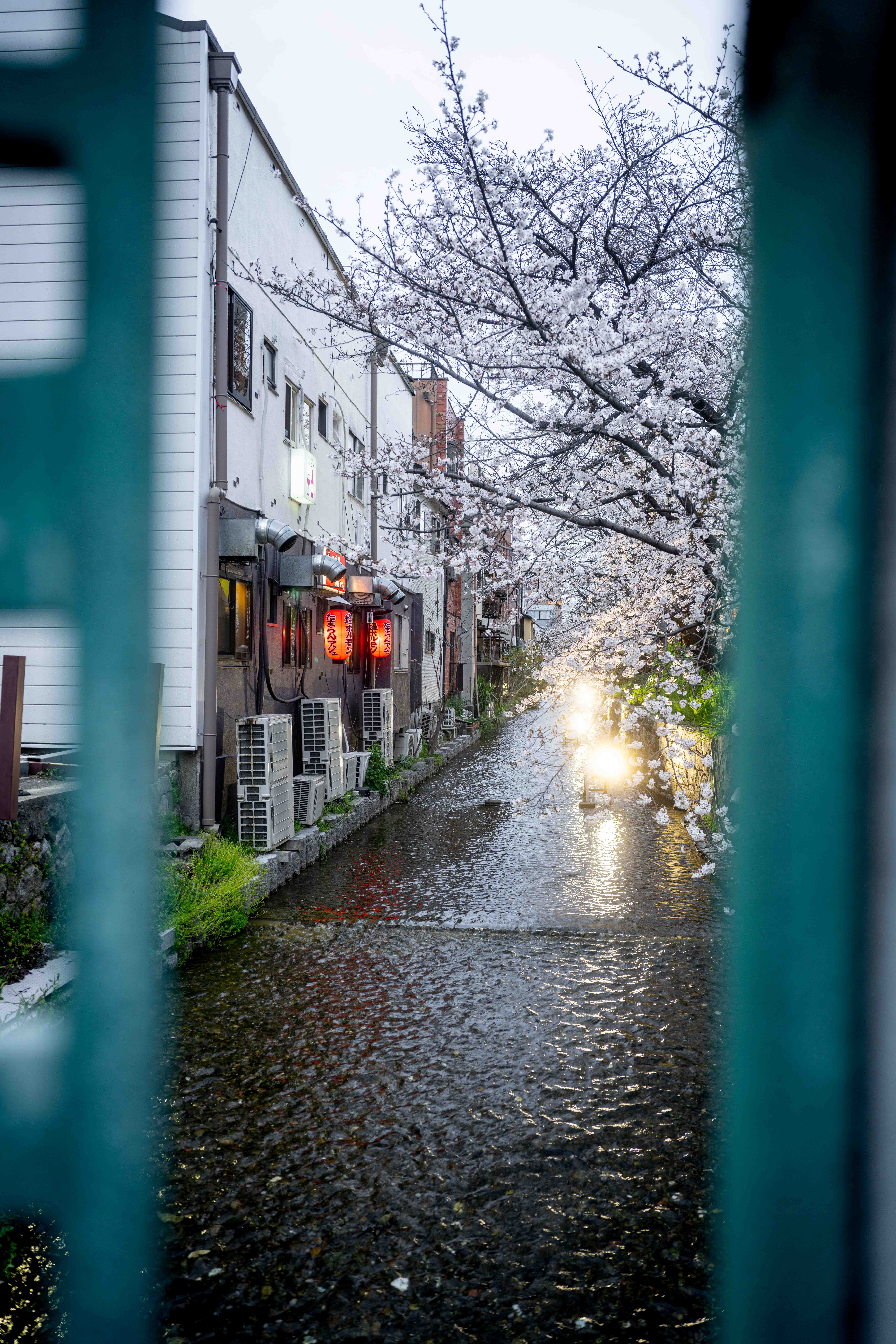 Photos from Tokyo and Kyoto, Japan, Spring 2026.
