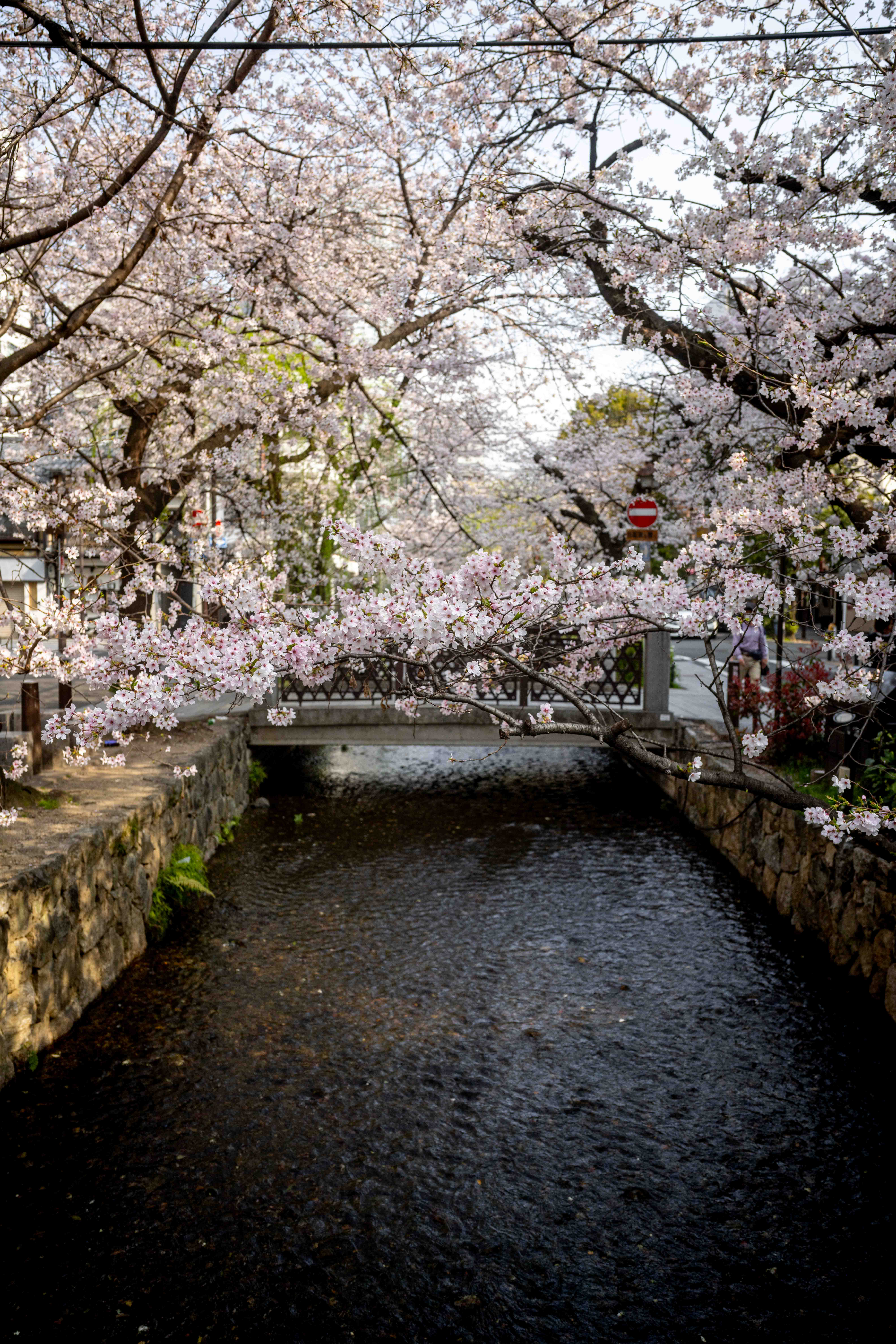 Photos from Tokyo and Kyoto, Japan, Spring 2026.