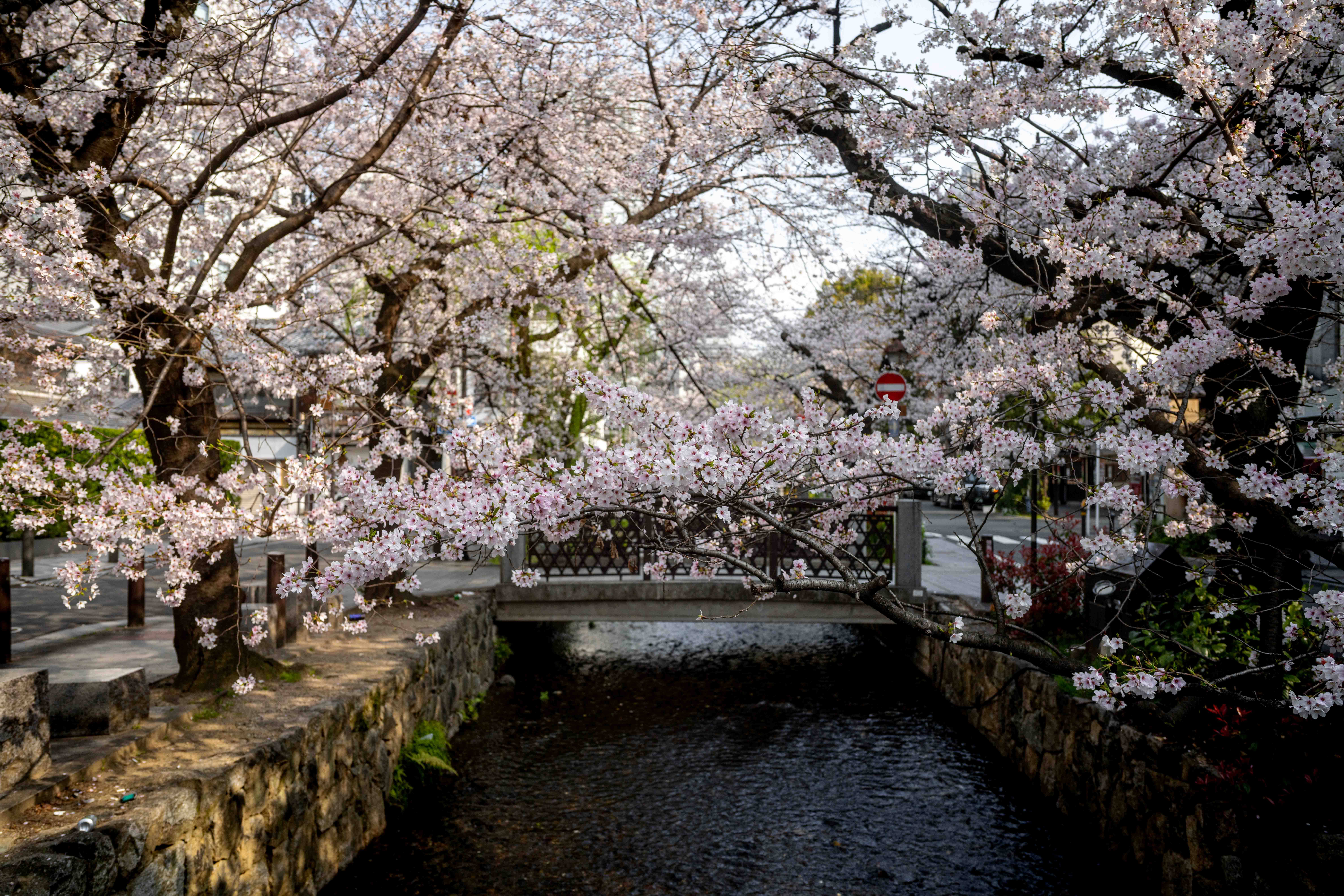 Photos from Tokyo and Kyoto, Japan, Spring 2026.