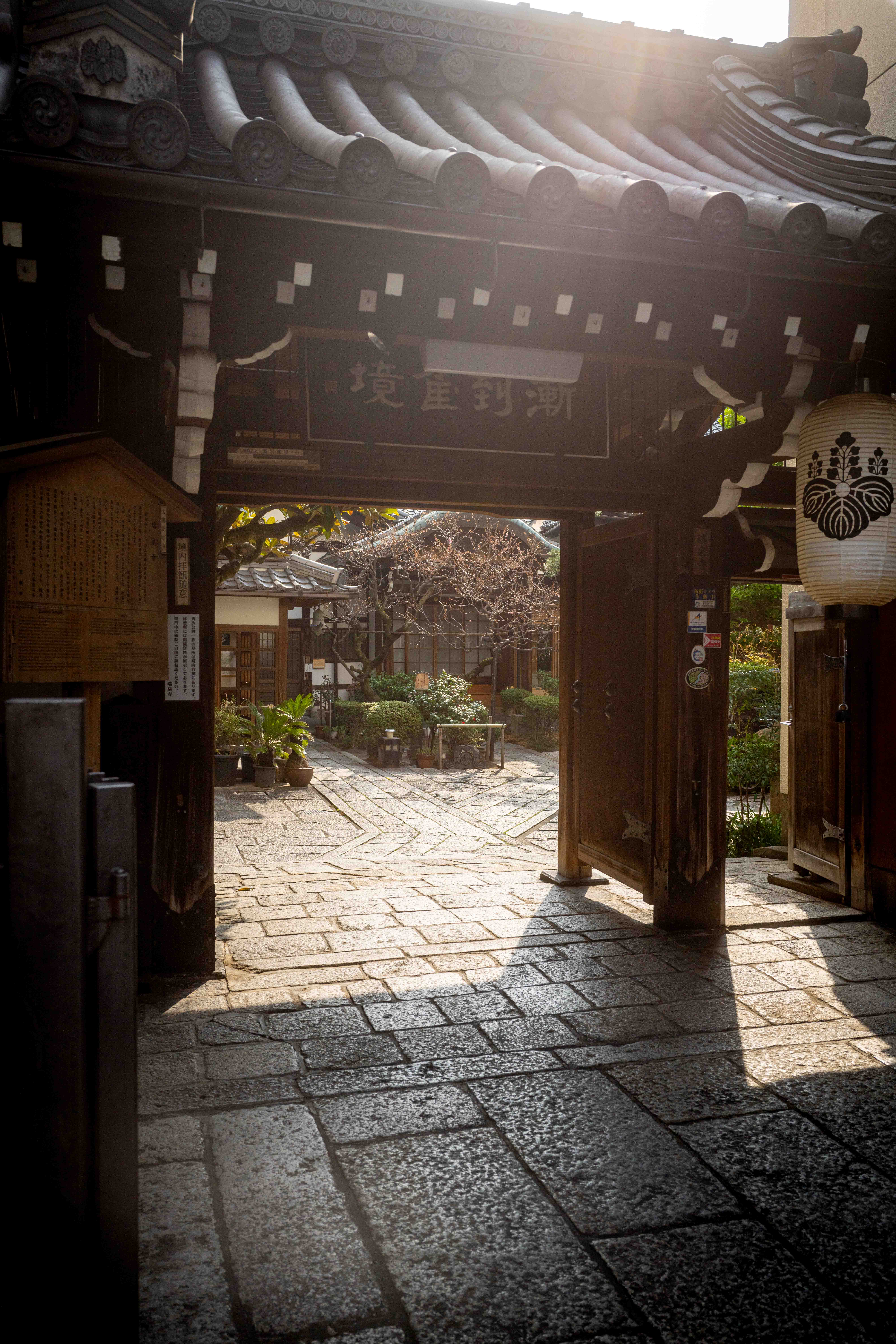 Photos from Tokyo and Kyoto, Japan, Spring 2026.