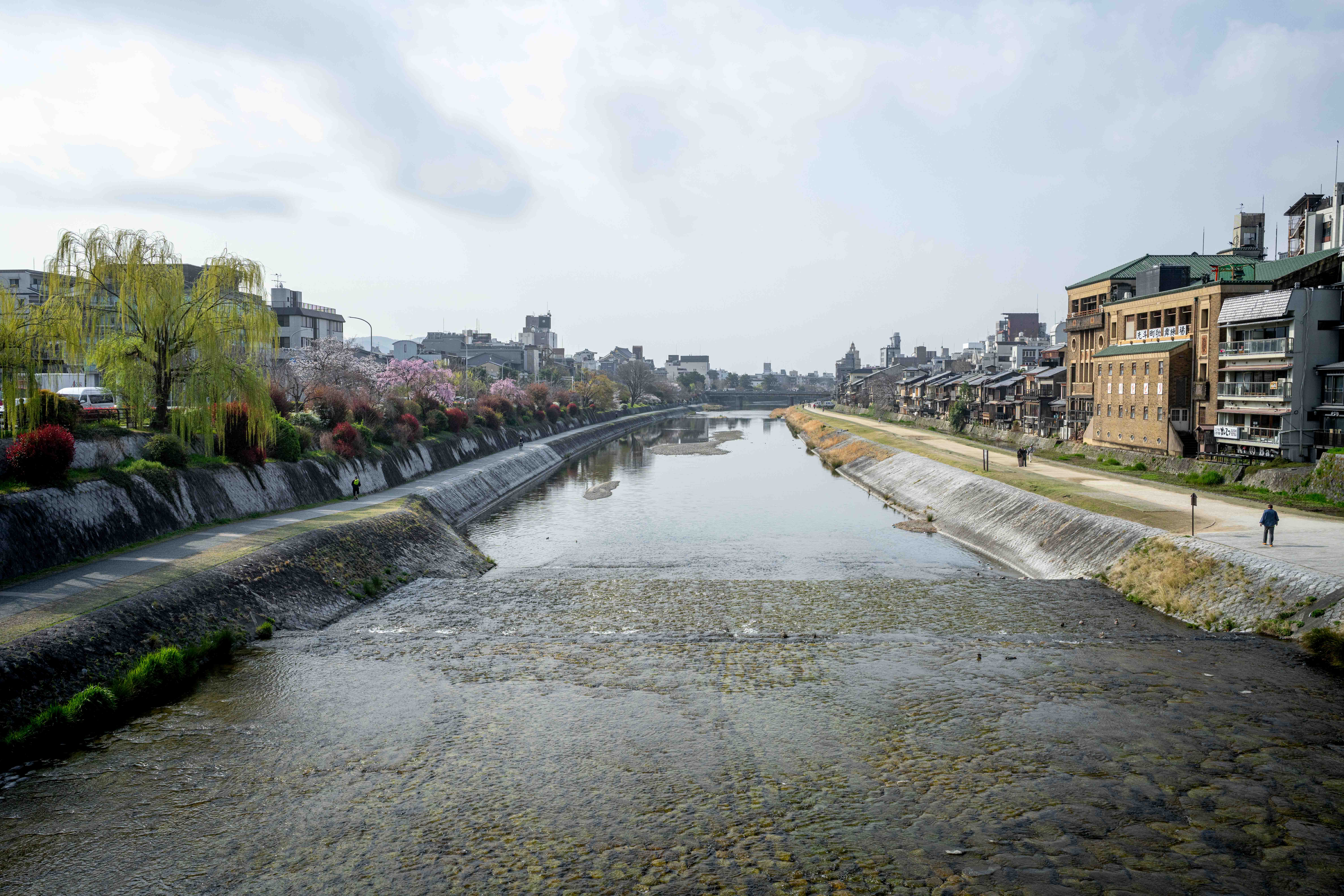 Photos from Tokyo and Kyoto, Japan, Spring 2026.