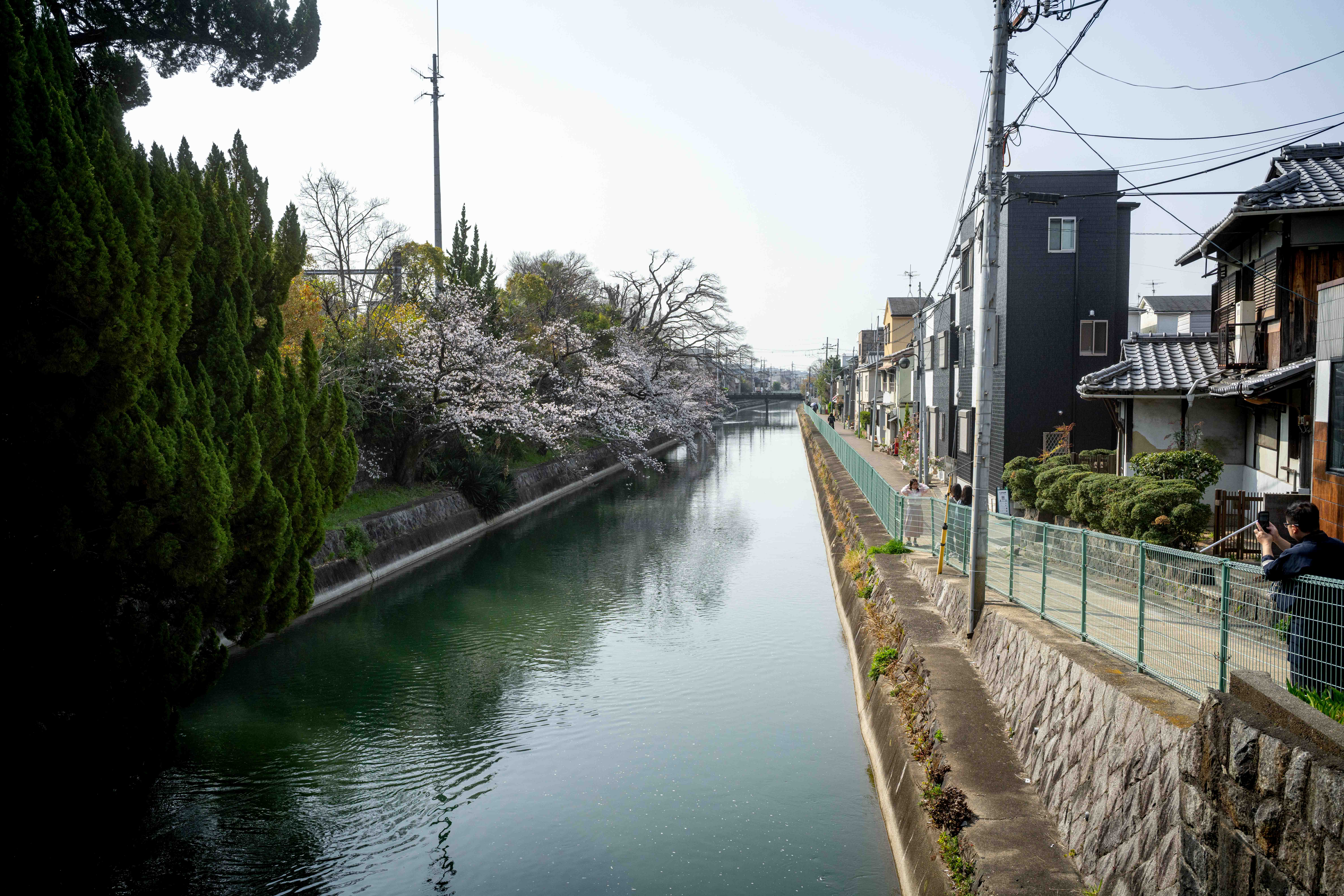 Photos from Tokyo and Kyoto, Japan, Spring 2026.