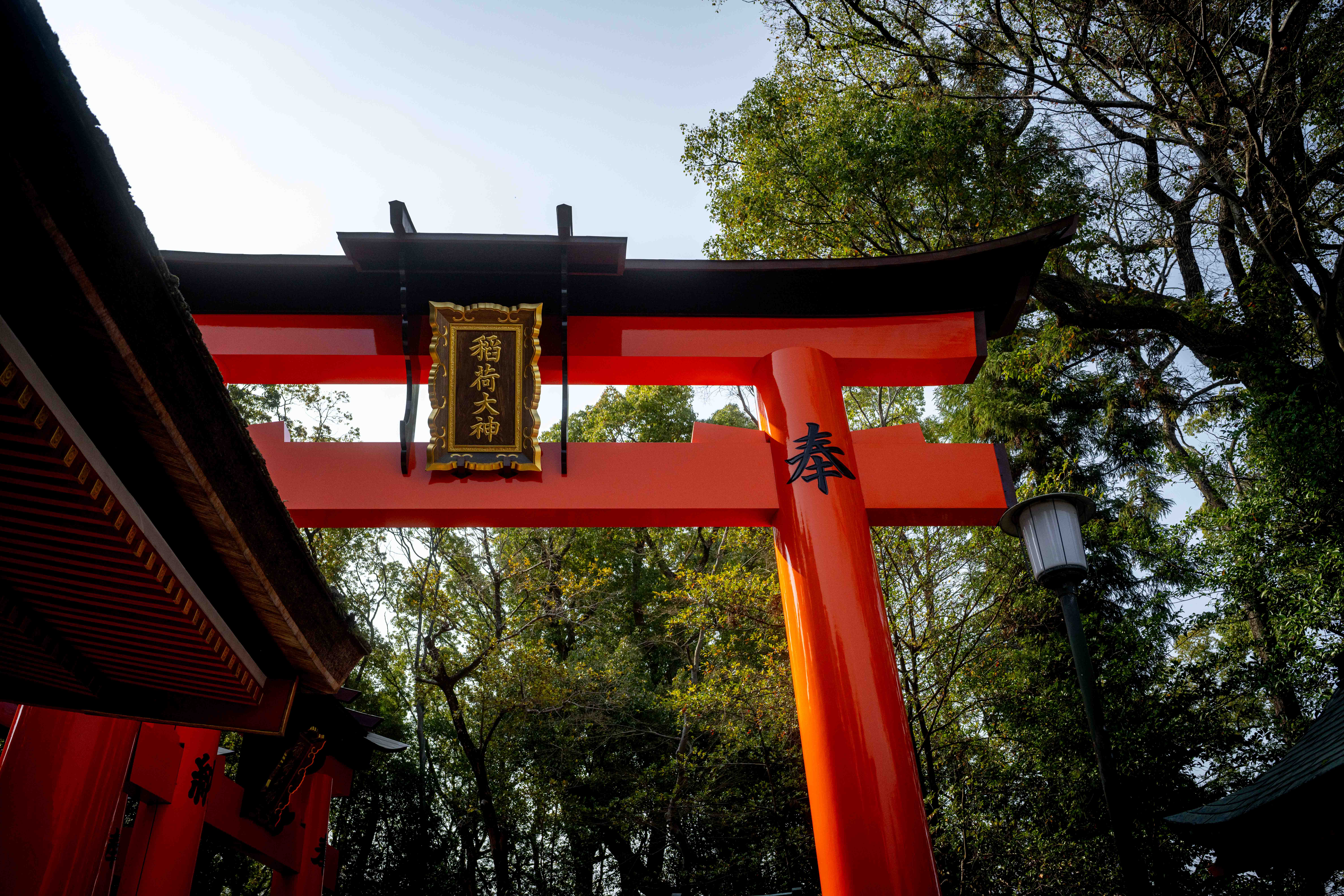 Photos from Tokyo and Kyoto, Japan, Spring 2026.