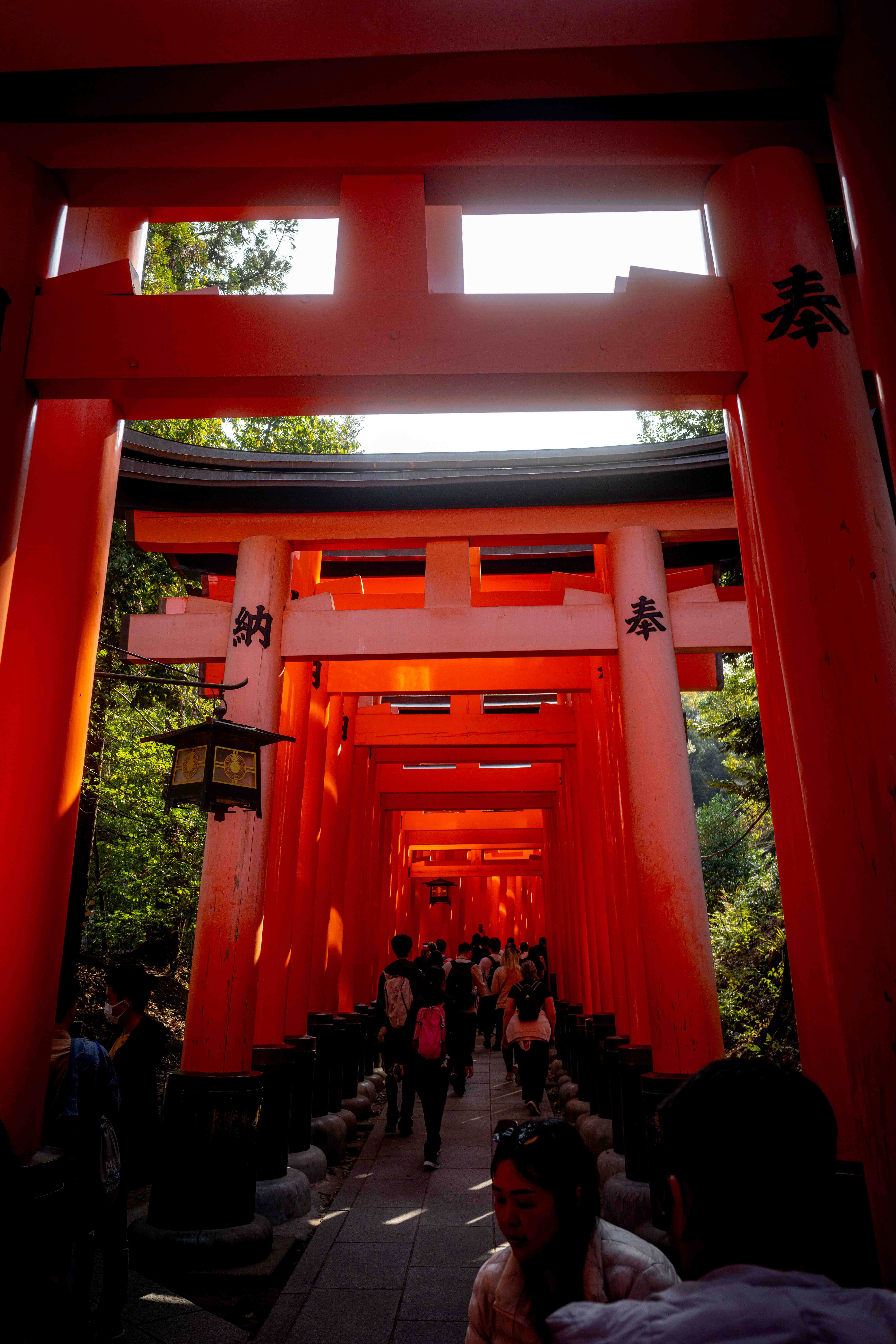 Photos from Tokyo and Kyoto, Japan, Spring 2026.