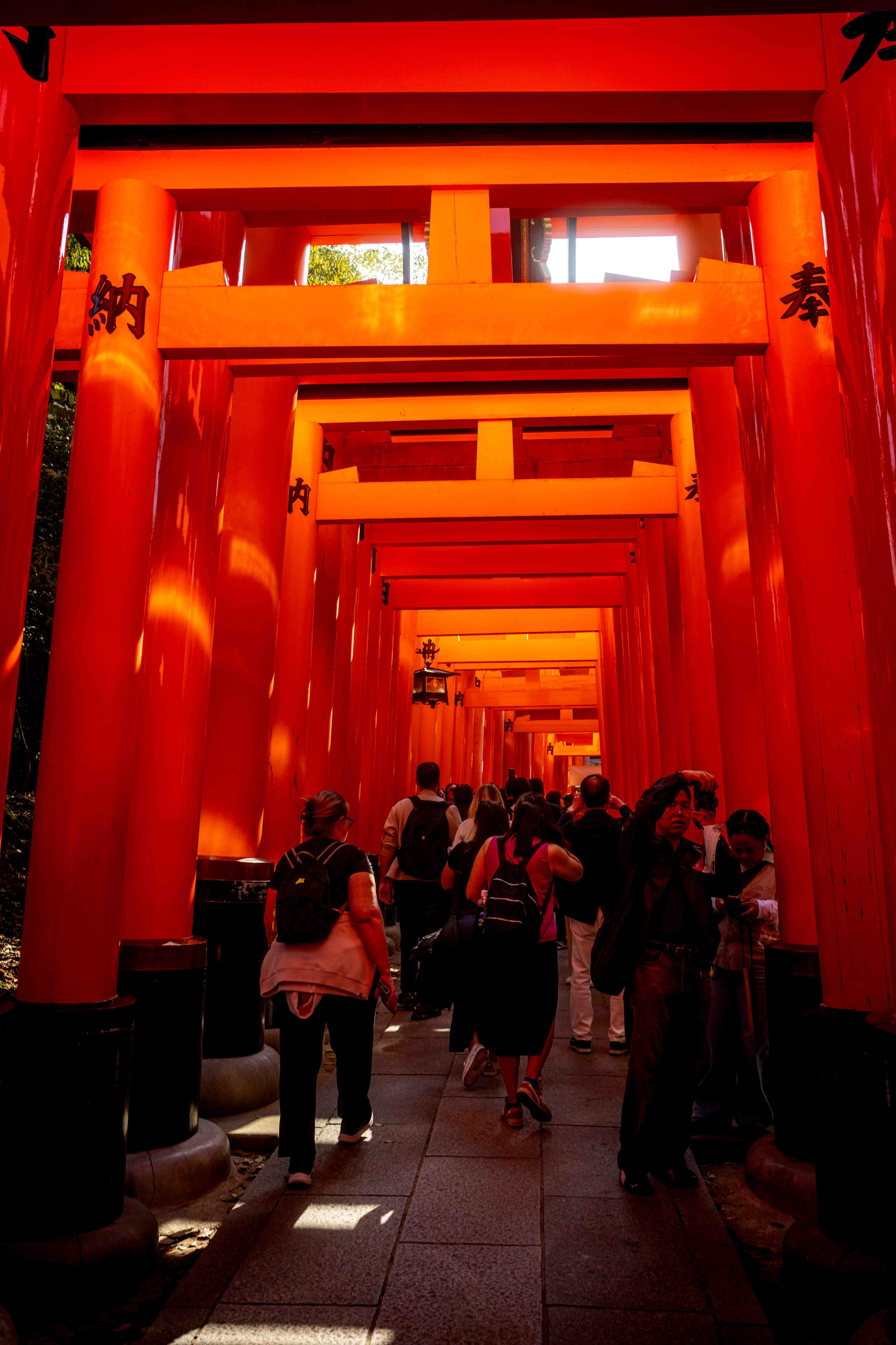 Photos from Tokyo and Kyoto, Japan, Spring 2026.