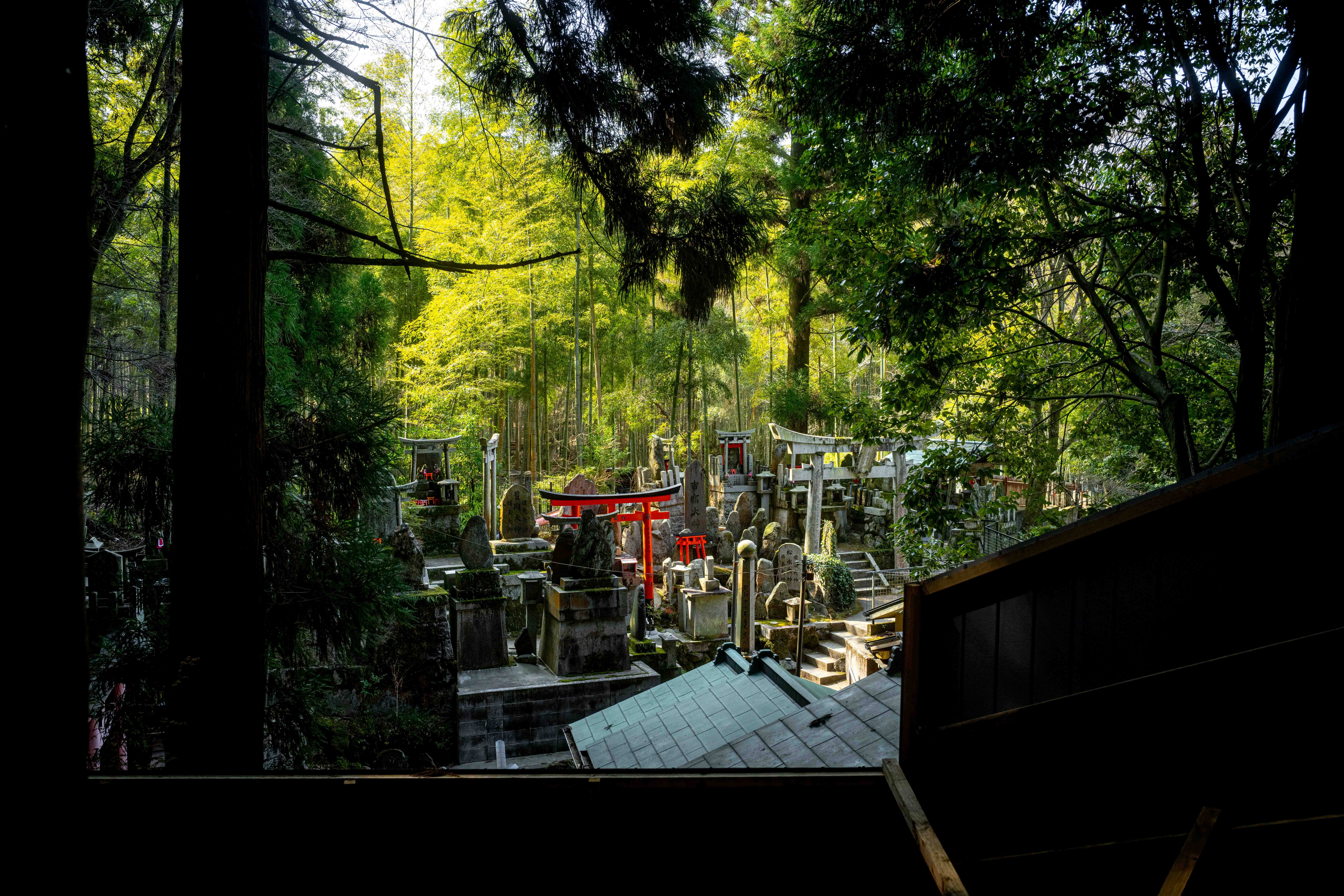 Photos from Tokyo and Kyoto, Japan, Spring 2026.