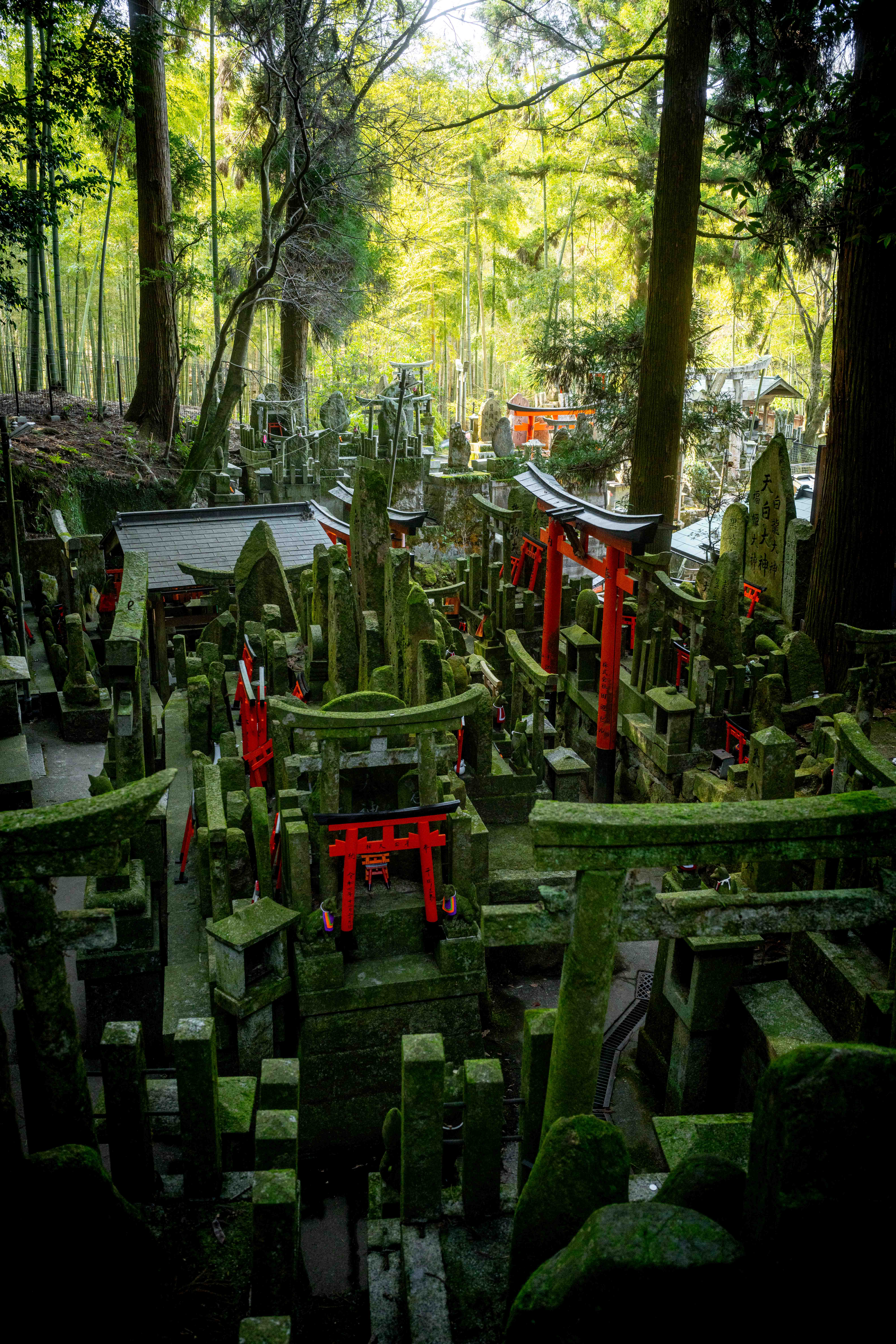 Photos from Tokyo and Kyoto, Japan, Spring 2026.
