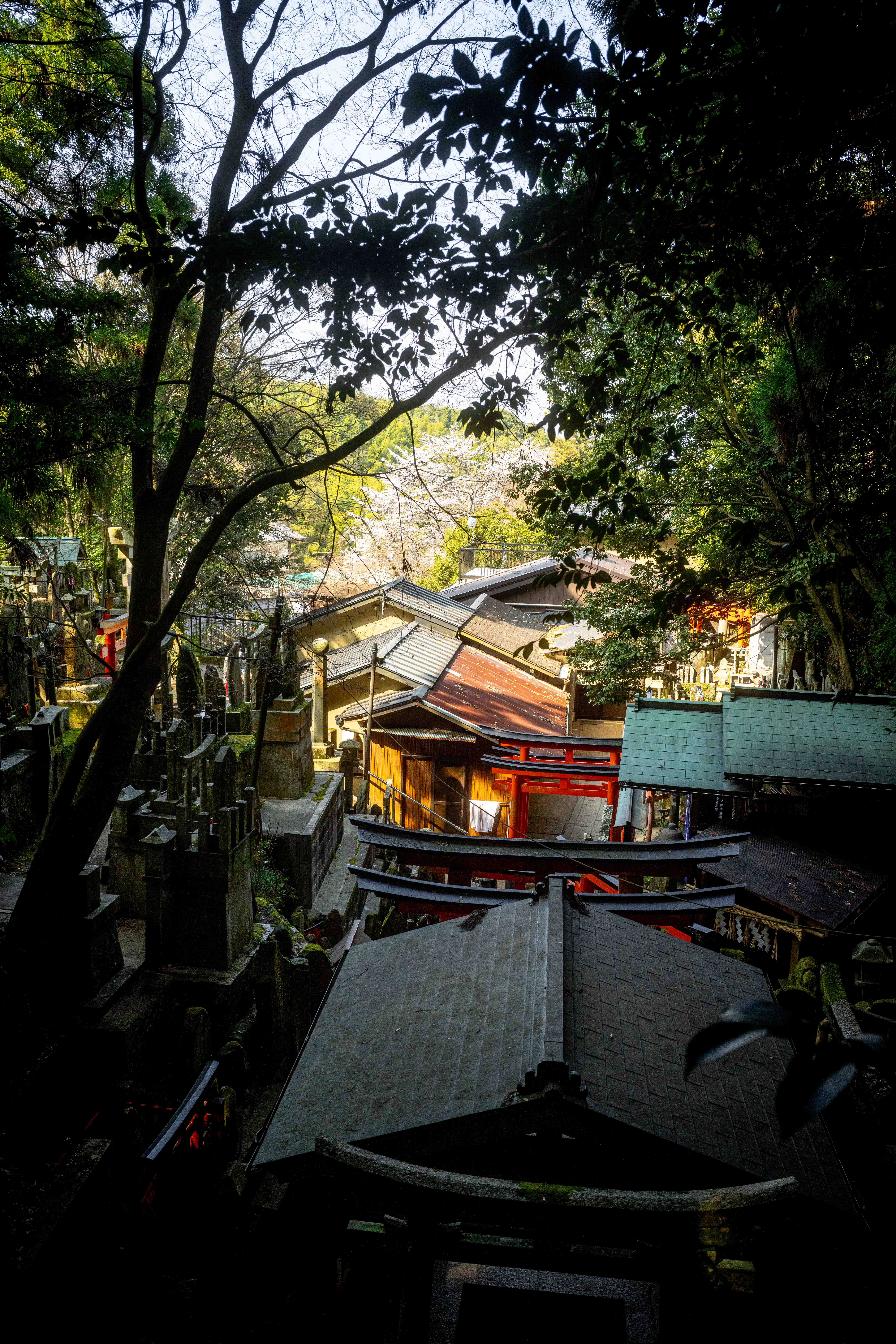 Photos from Tokyo and Kyoto, Japan, Spring 2026.