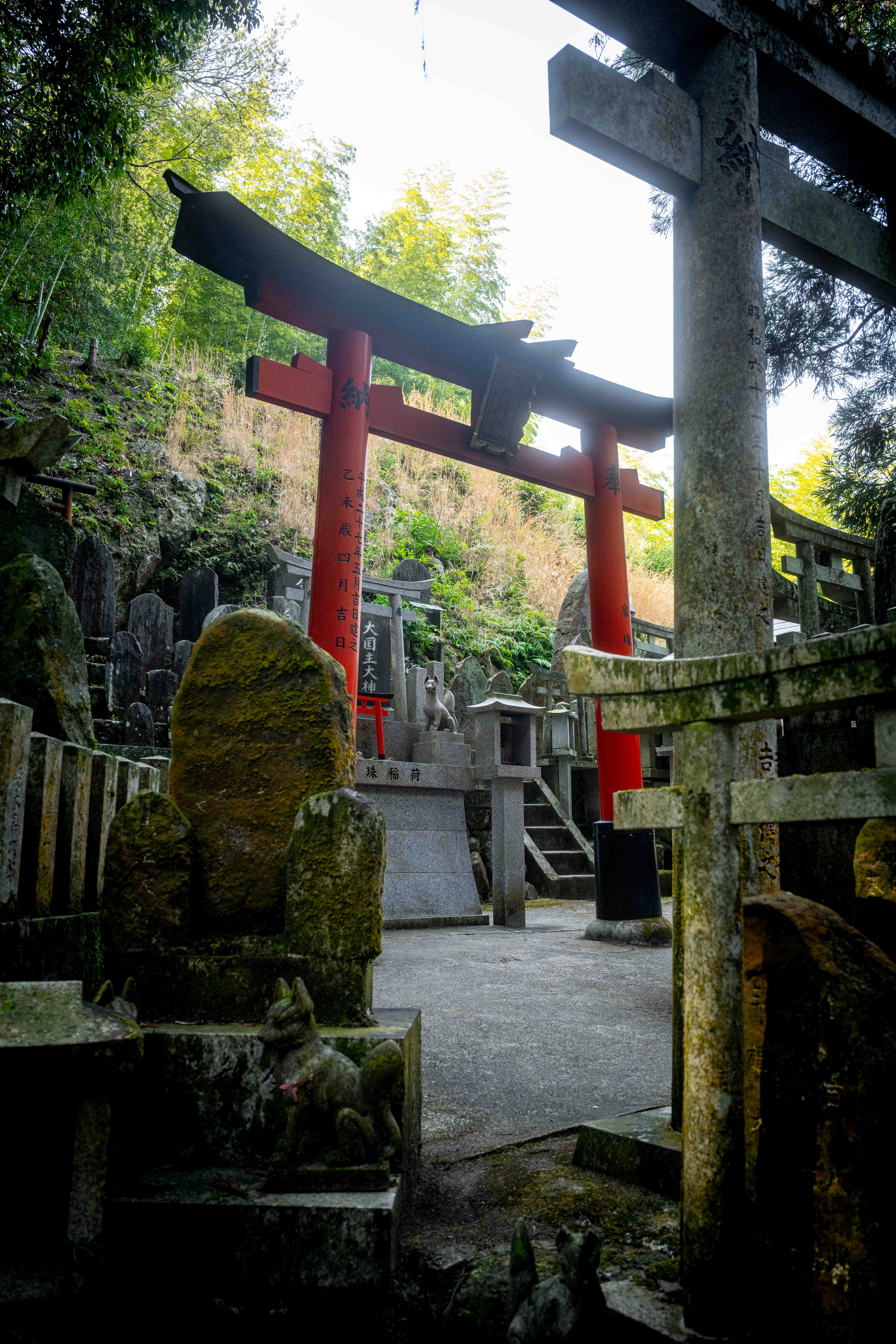 Photos from Tokyo and Kyoto, Japan, Spring 2026.