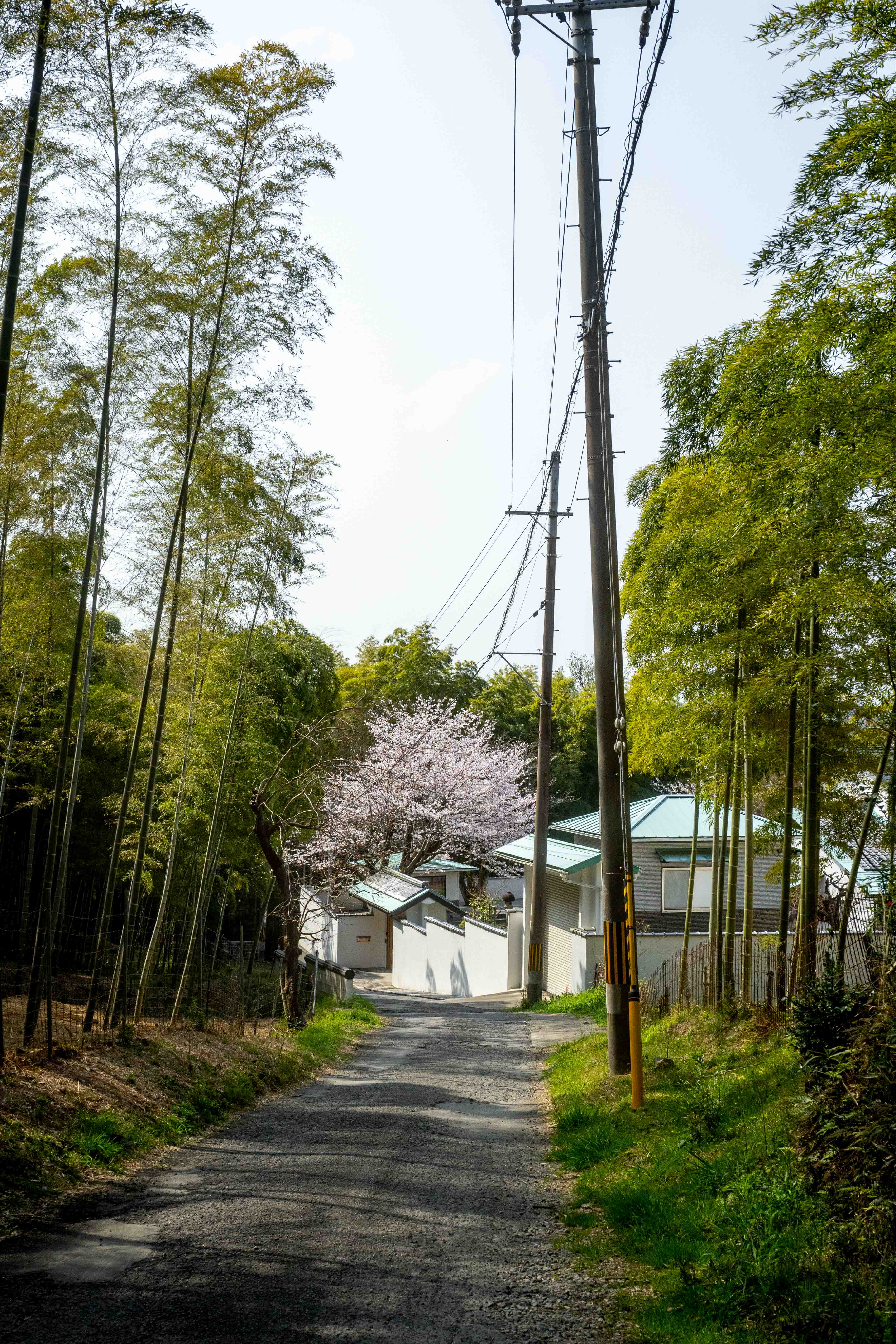 Photos from Tokyo and Kyoto, Japan, Spring 2026.