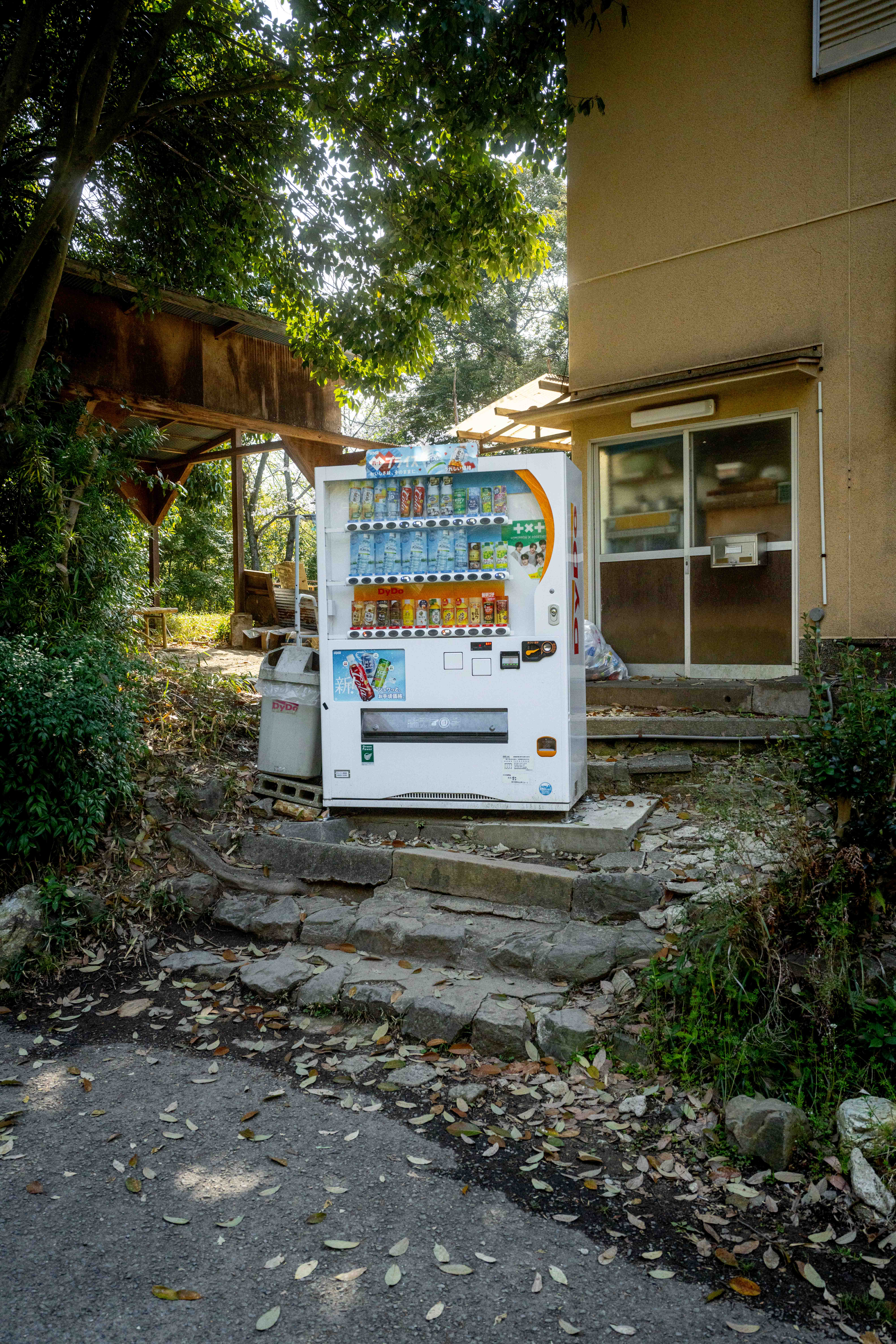 Photos from Tokyo and Kyoto, Japan, Spring 2026.