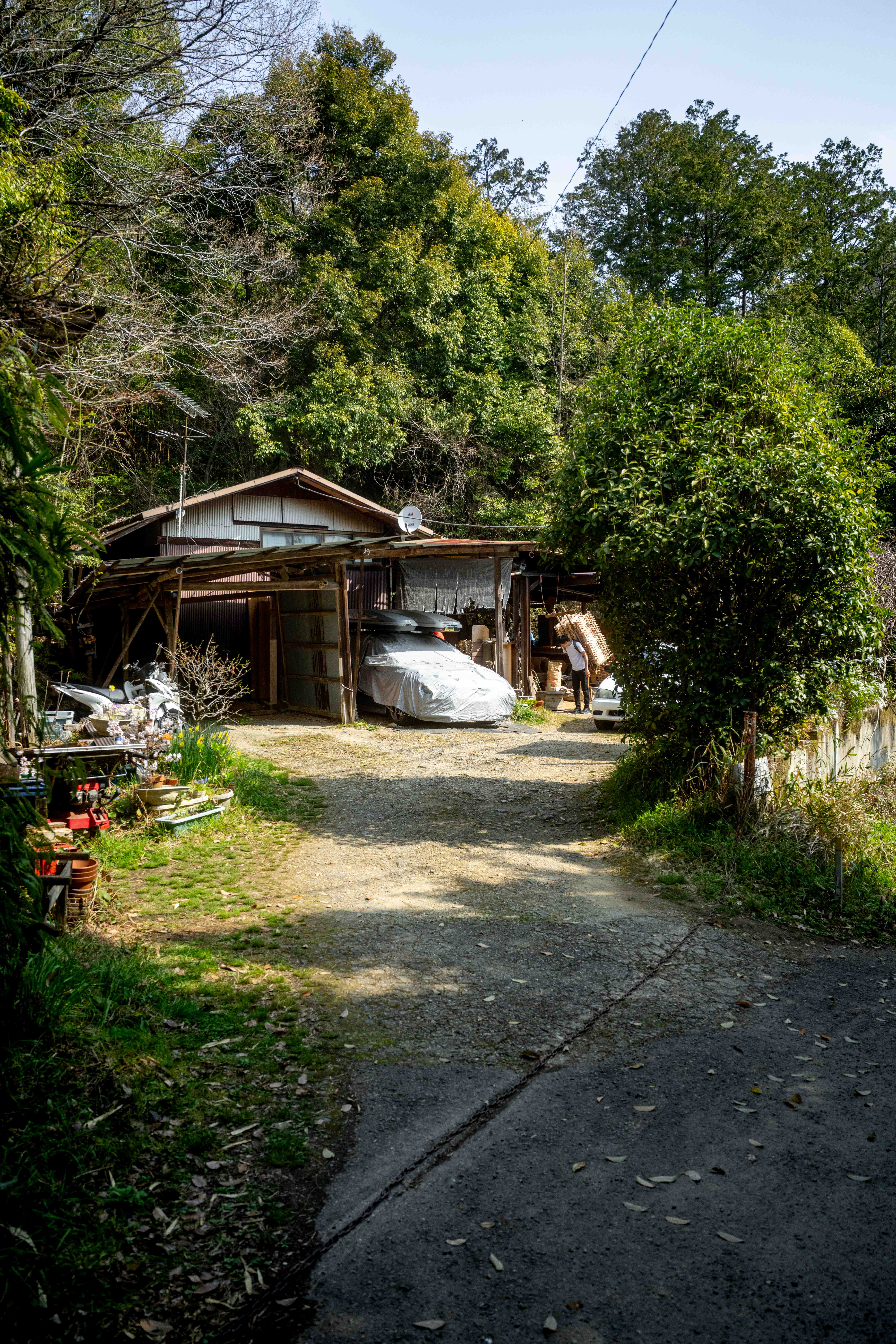 Photos from Tokyo and Kyoto, Japan, Spring 2026.