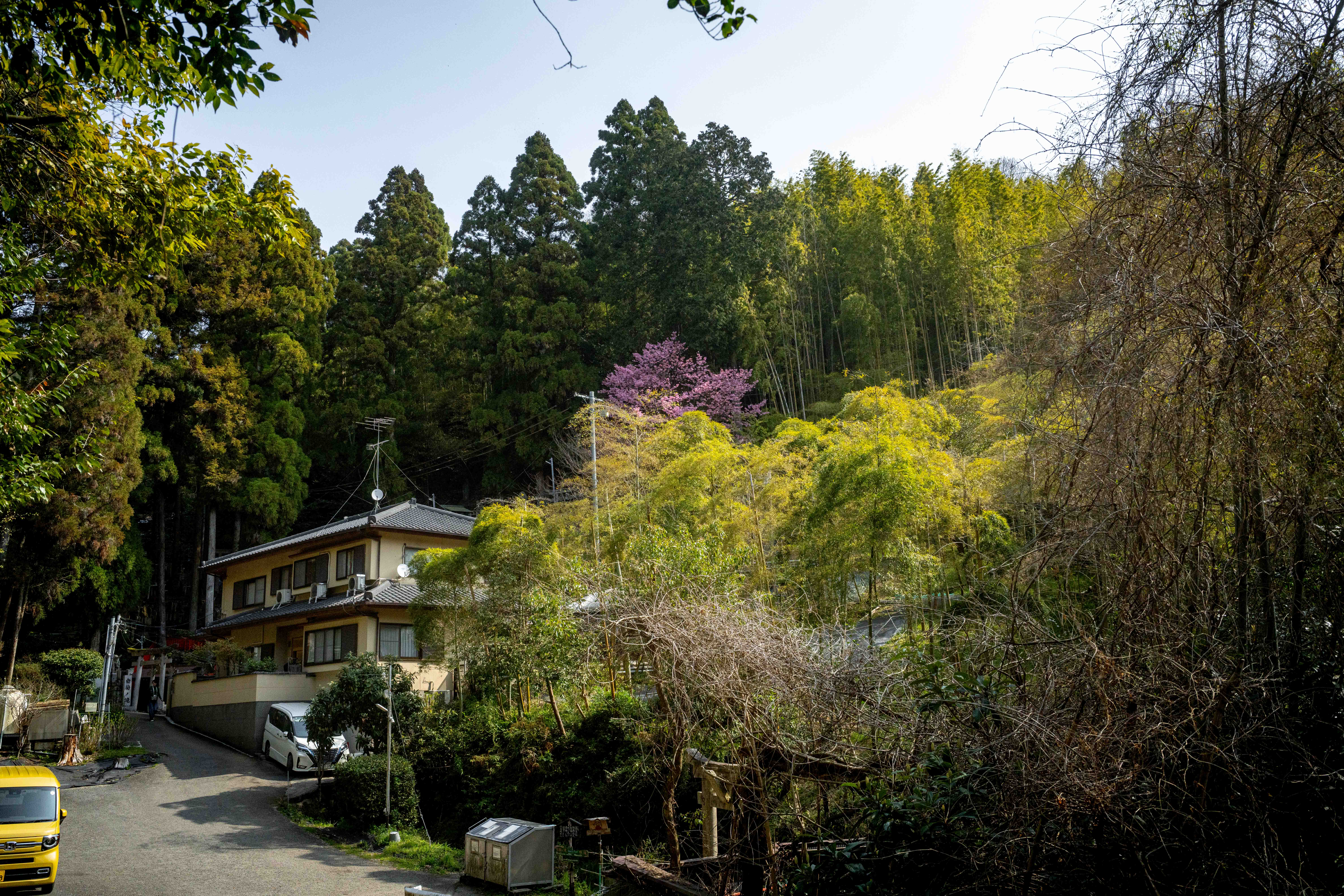 Photos from Tokyo and Kyoto, Japan, Spring 2026.