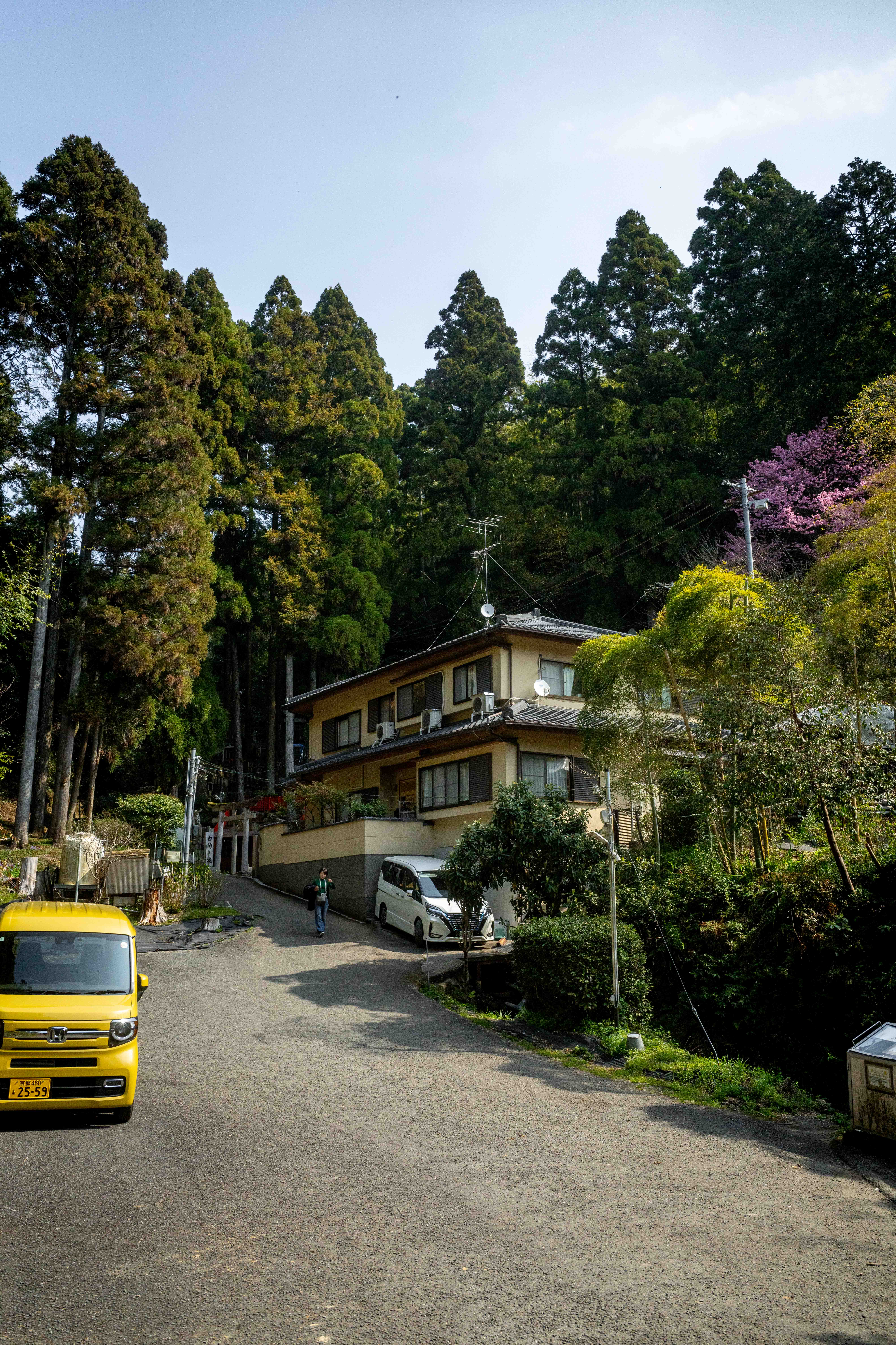 Photos from Tokyo and Kyoto, Japan, Spring 2026.