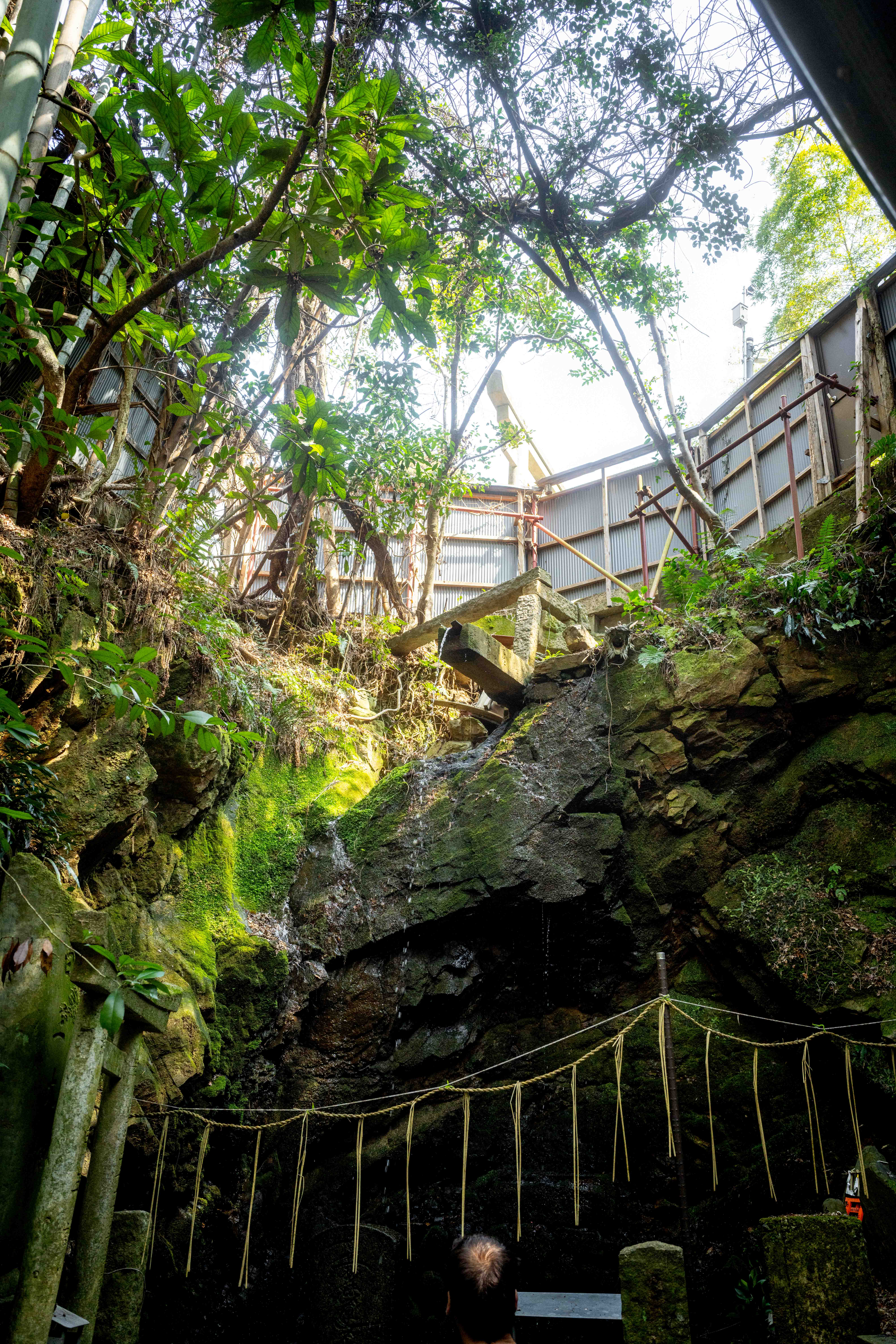 Photos from Tokyo and Kyoto, Japan, Spring 2026.