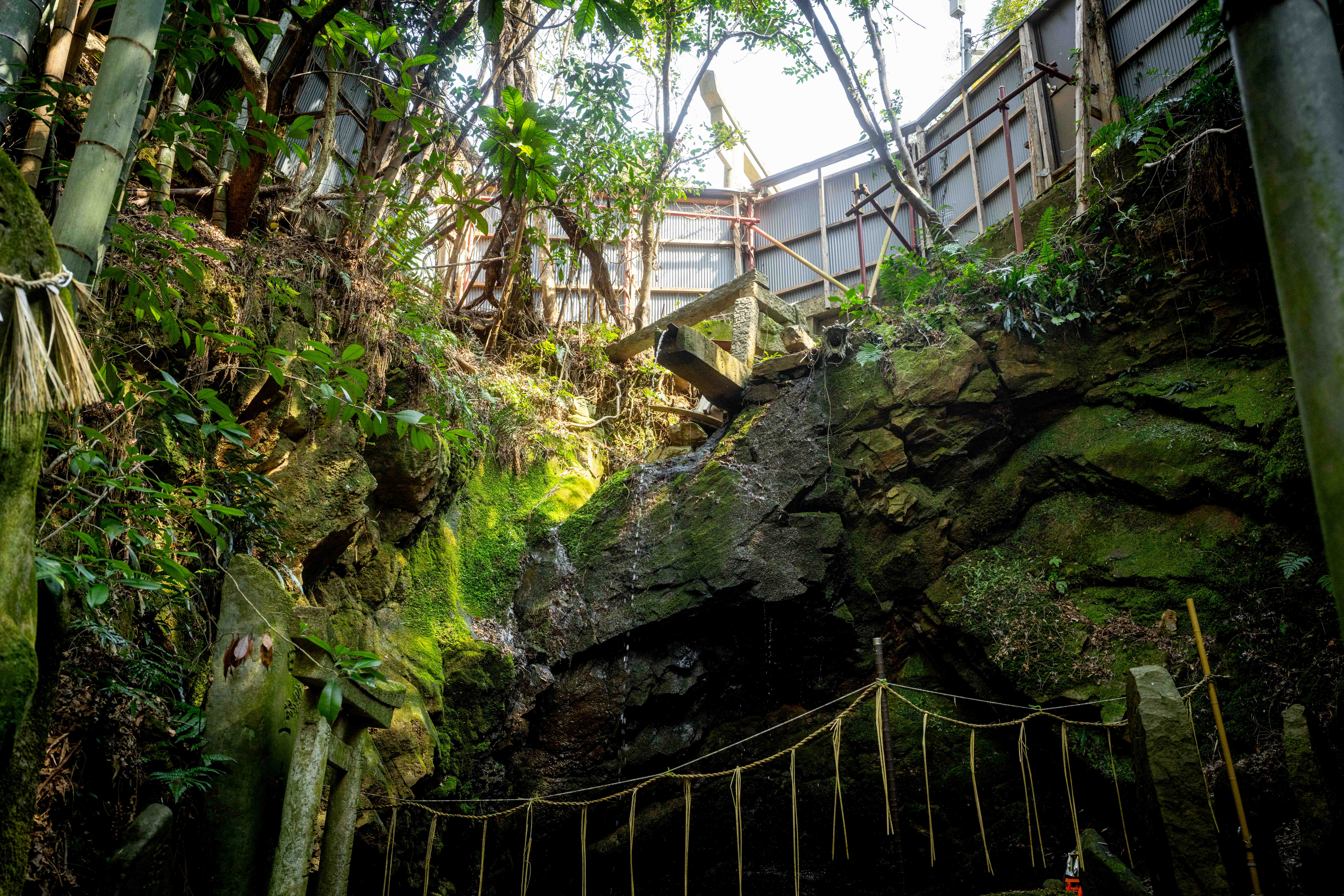 Photos from Tokyo and Kyoto, Japan, Spring 2026.