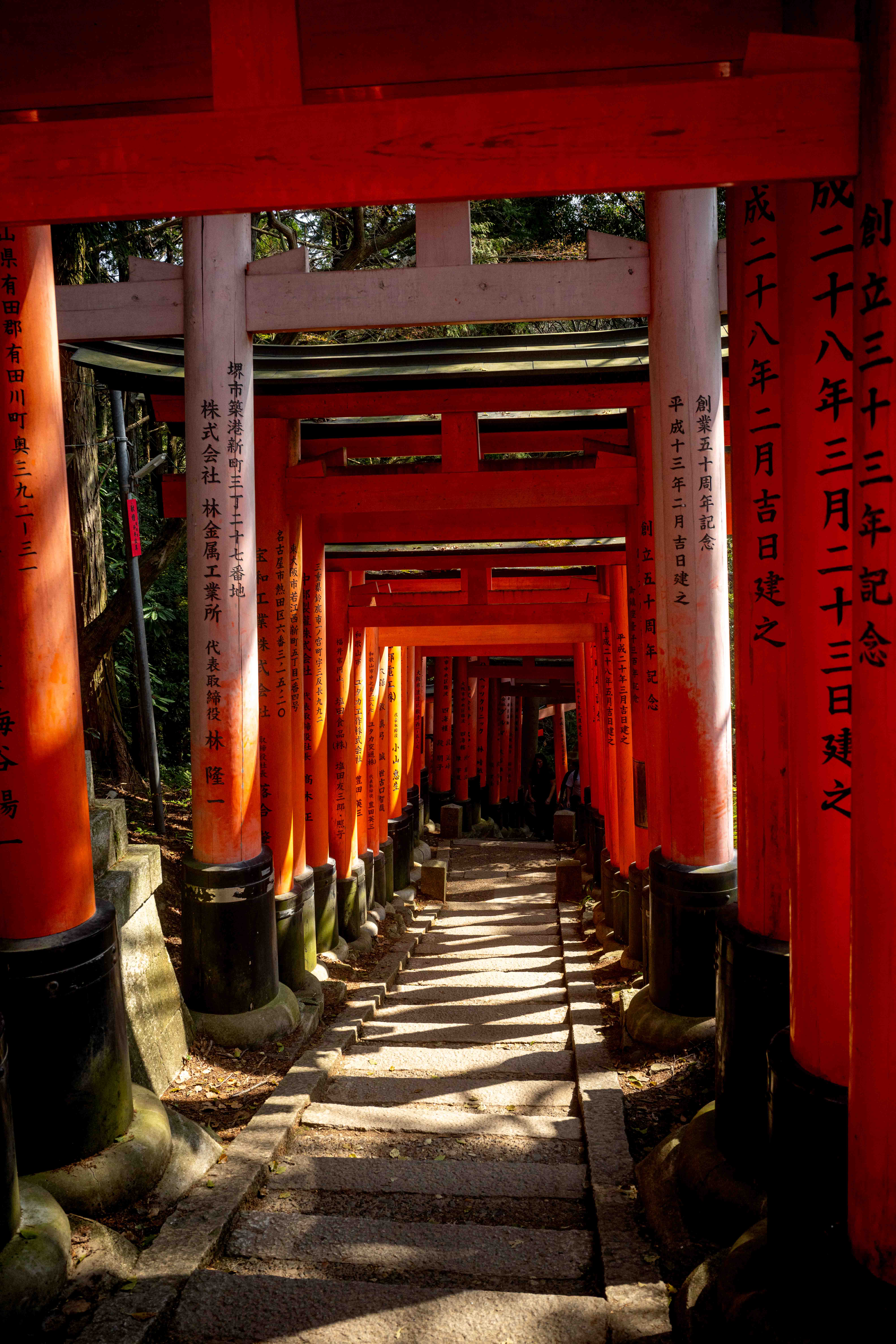 Photos from Tokyo and Kyoto, Japan, Spring 2026.