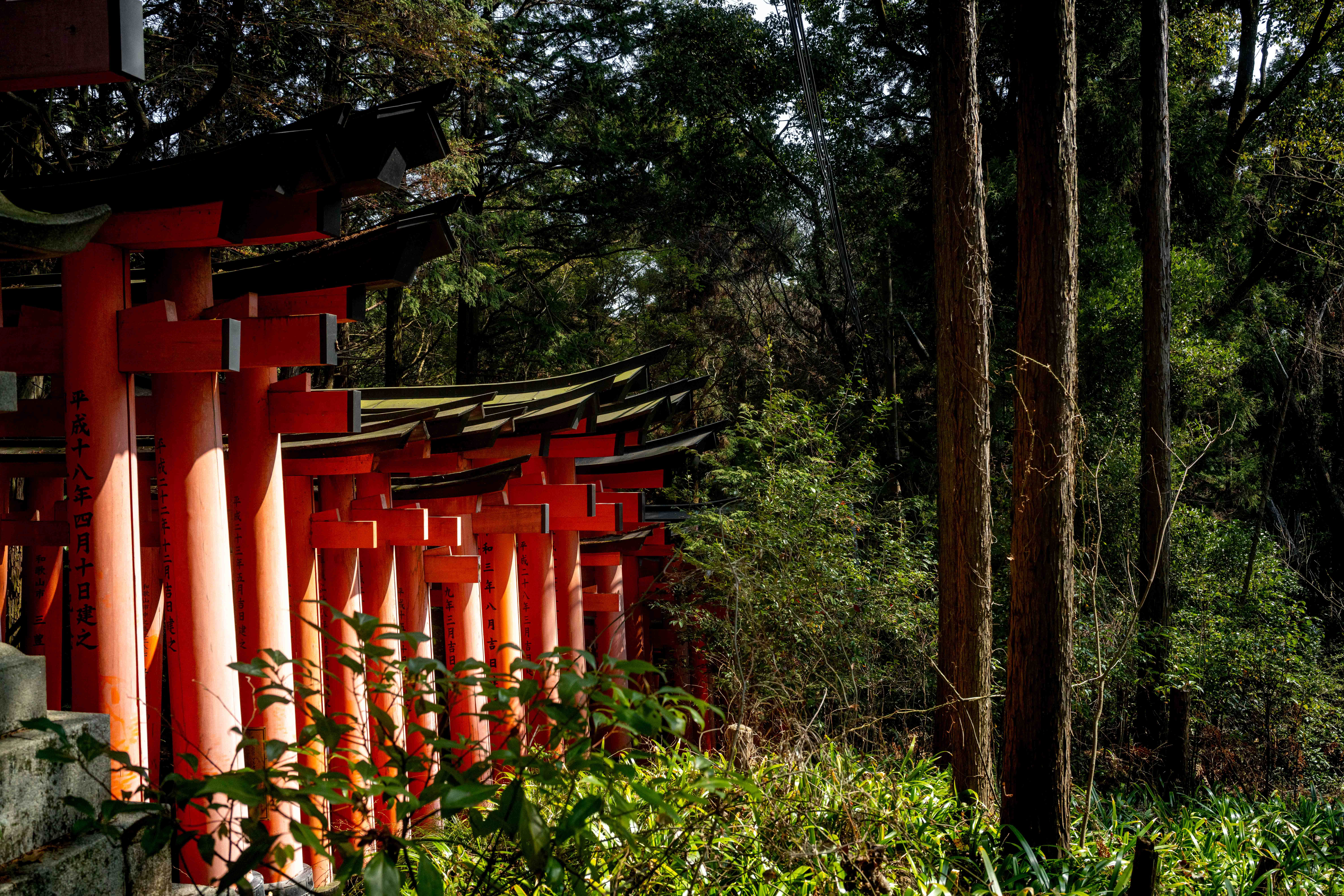 Photos from Tokyo and Kyoto, Japan, Spring 2026.