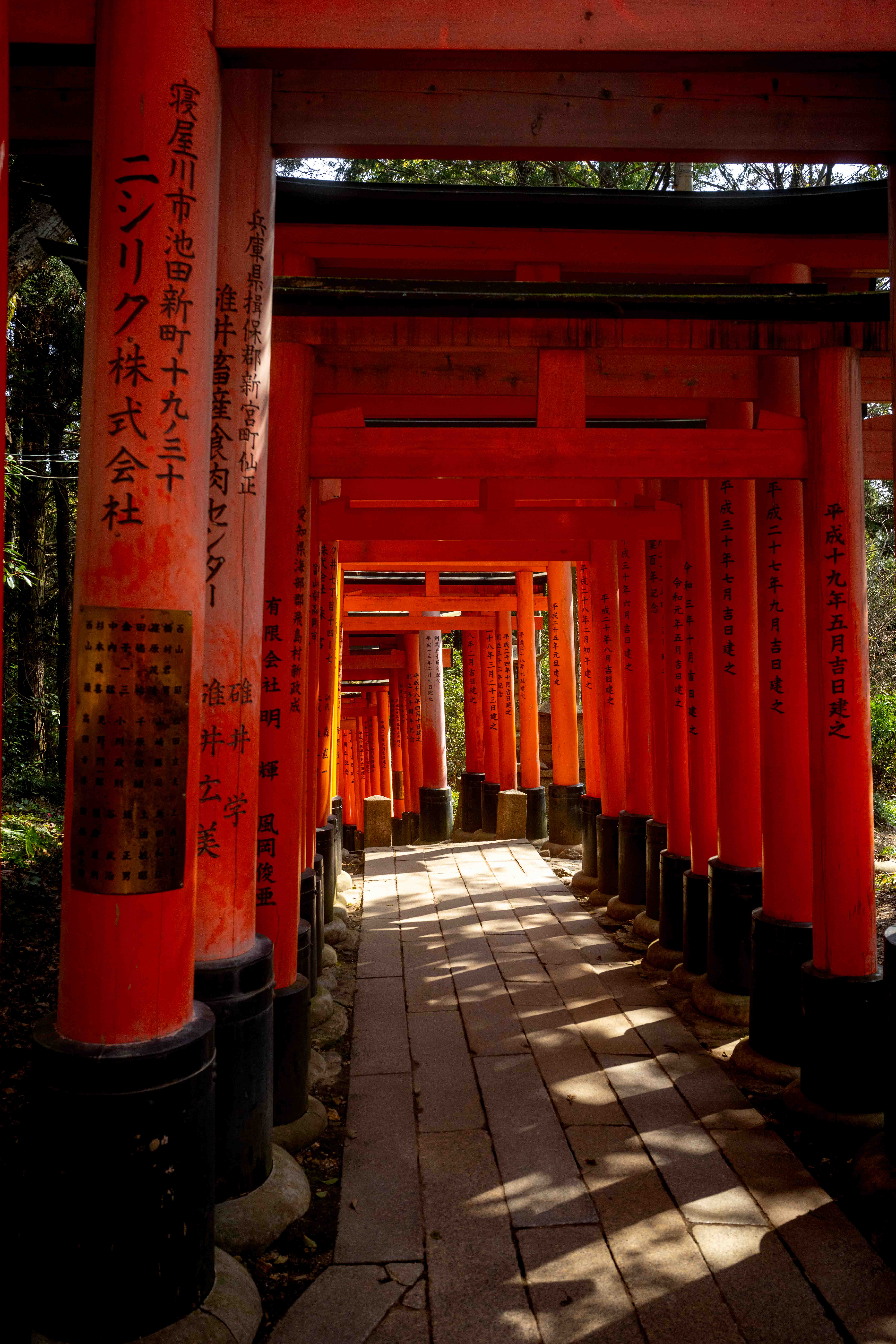 Photos from Tokyo and Kyoto, Japan, Spring 2026.