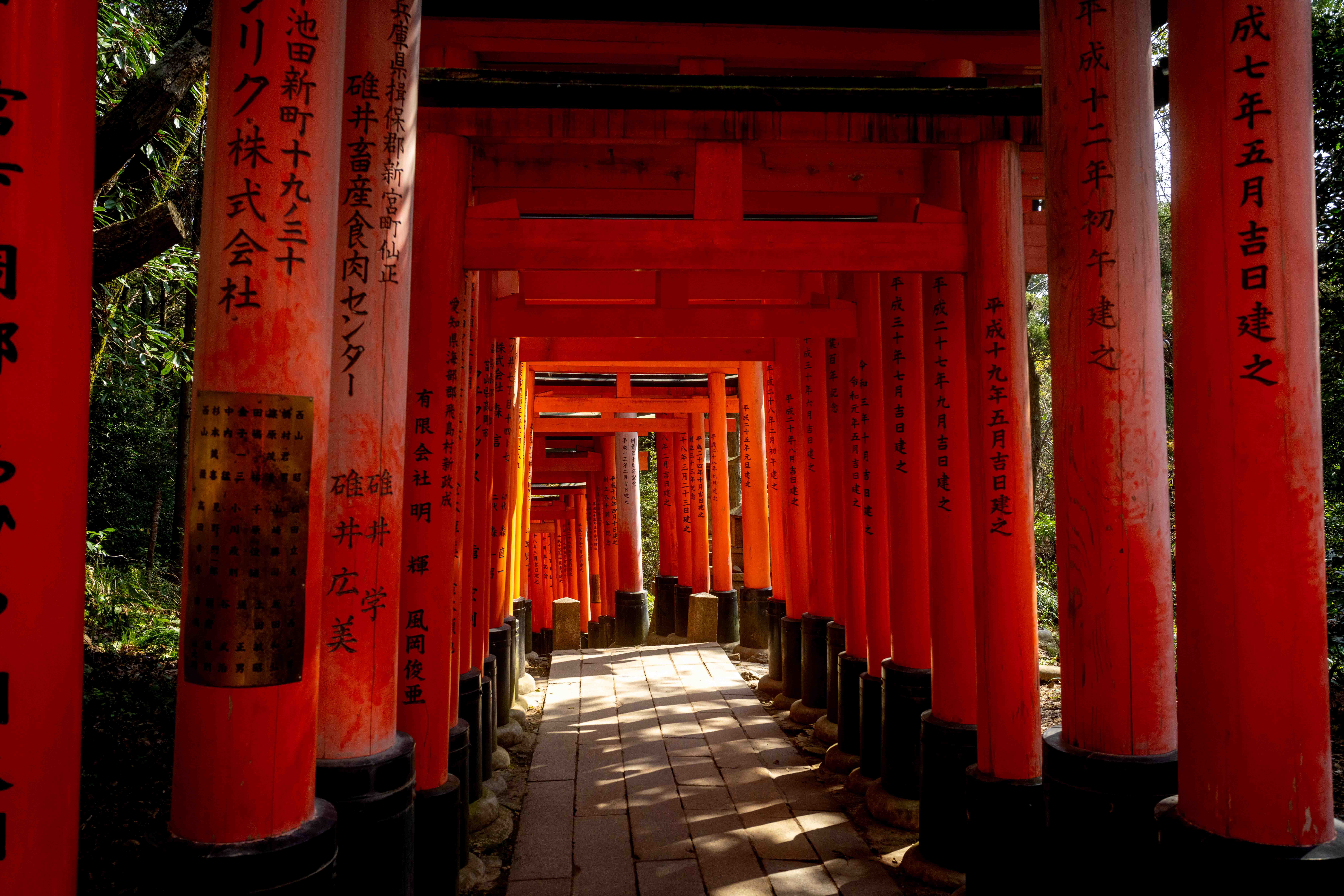 Photos from Tokyo and Kyoto, Japan, Spring 2026.