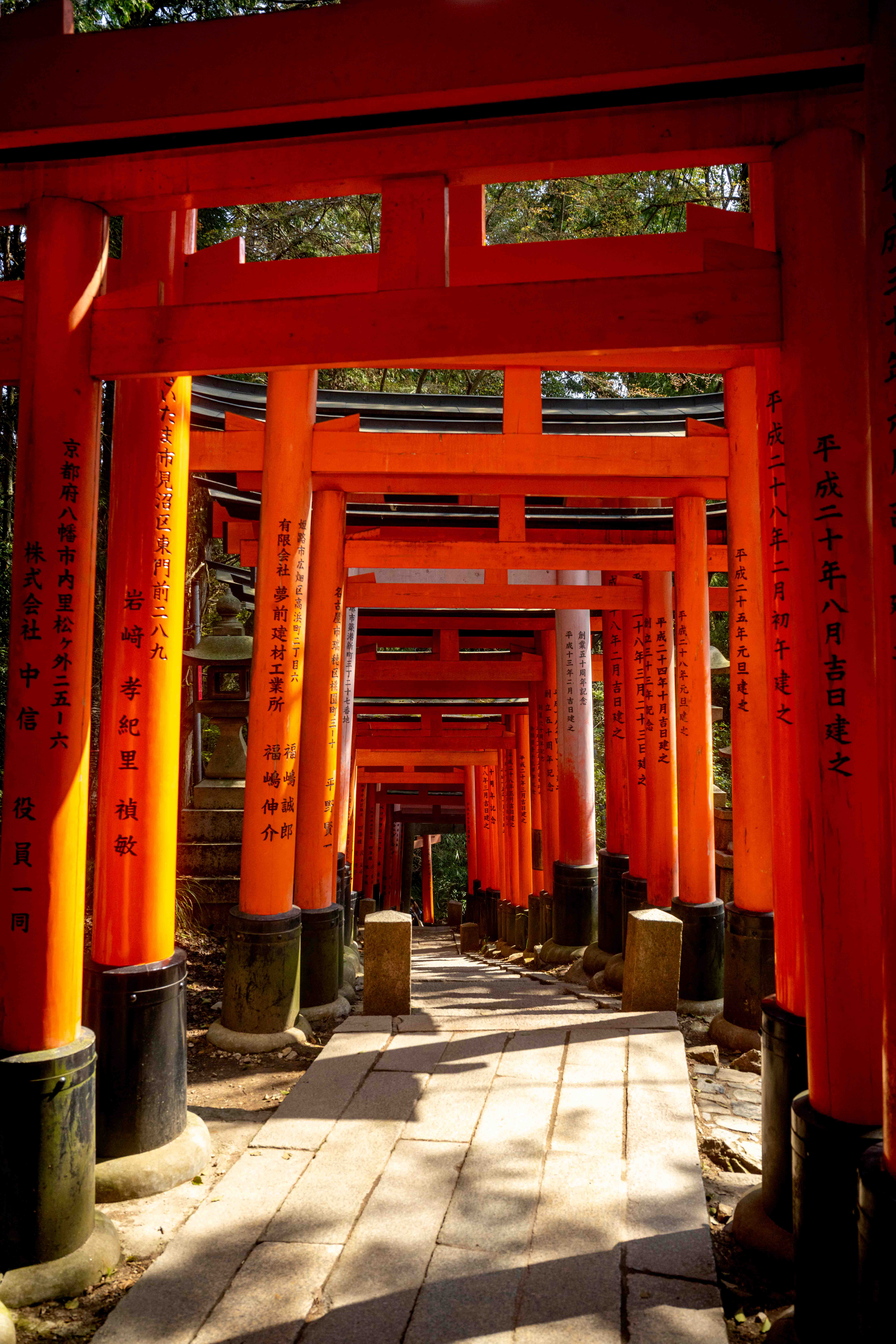 Photos from Tokyo and Kyoto, Japan, Spring 2026.