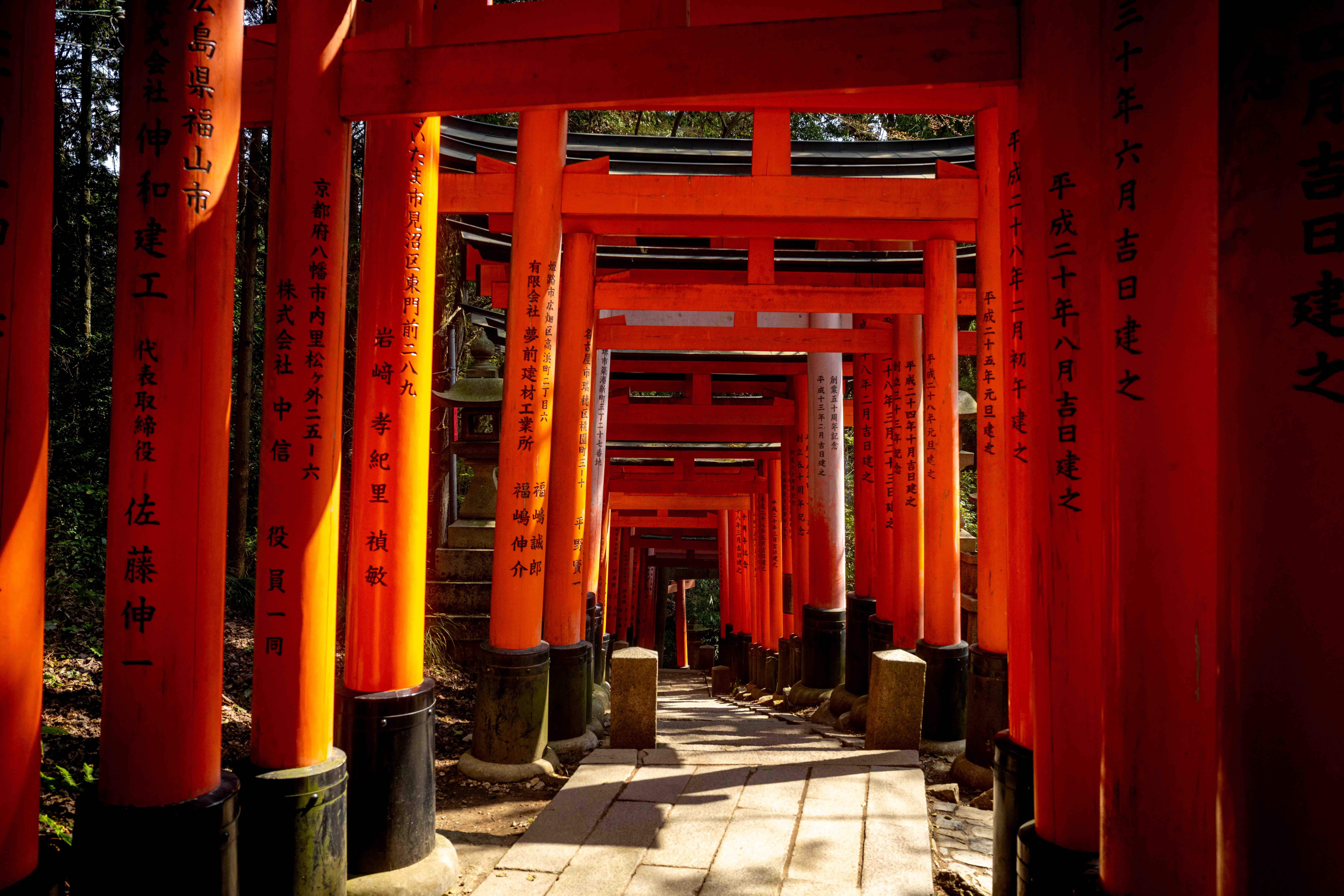 Photos from Tokyo and Kyoto, Japan, Spring 2026.