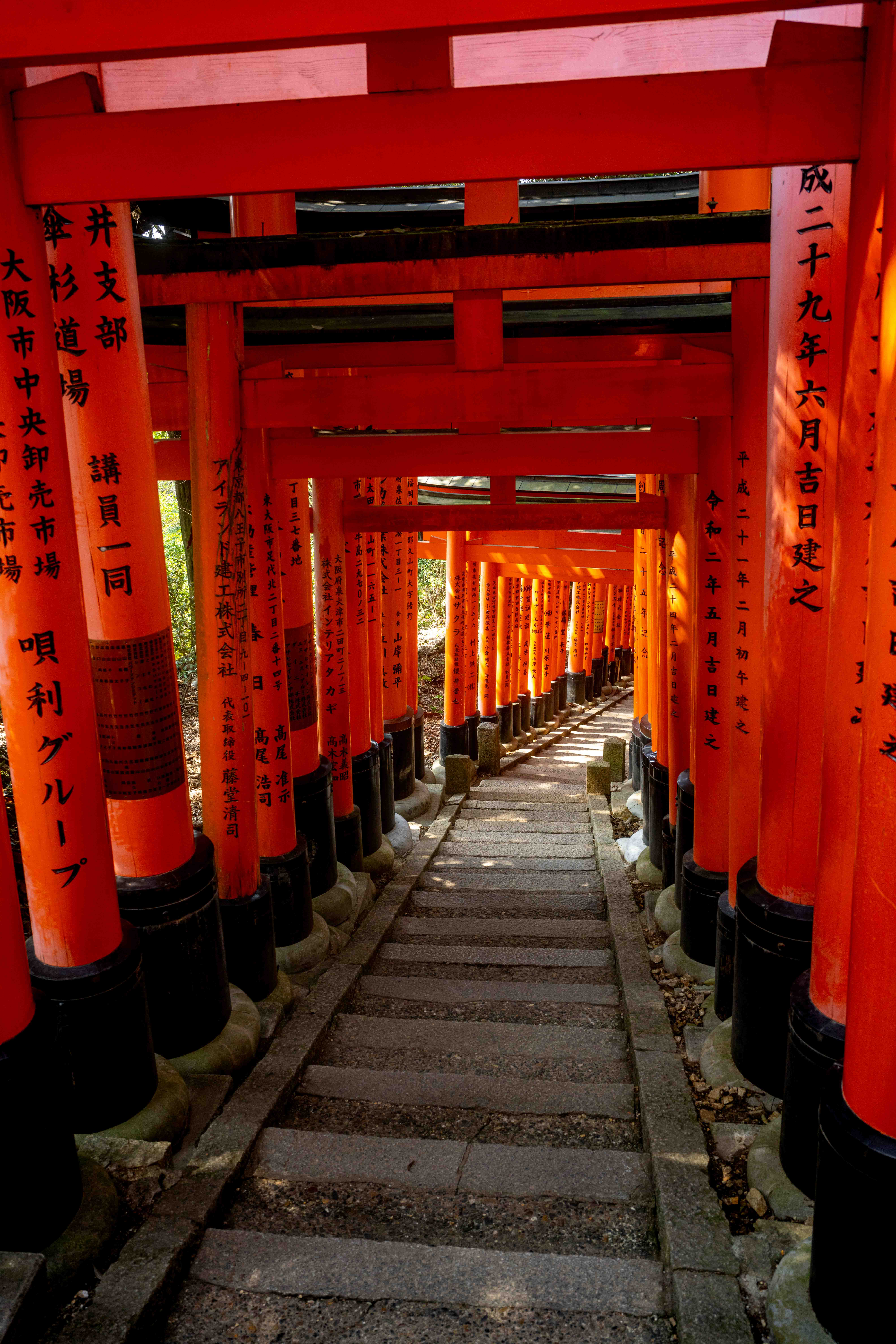 Photos from Tokyo and Kyoto, Japan, Spring 2026.