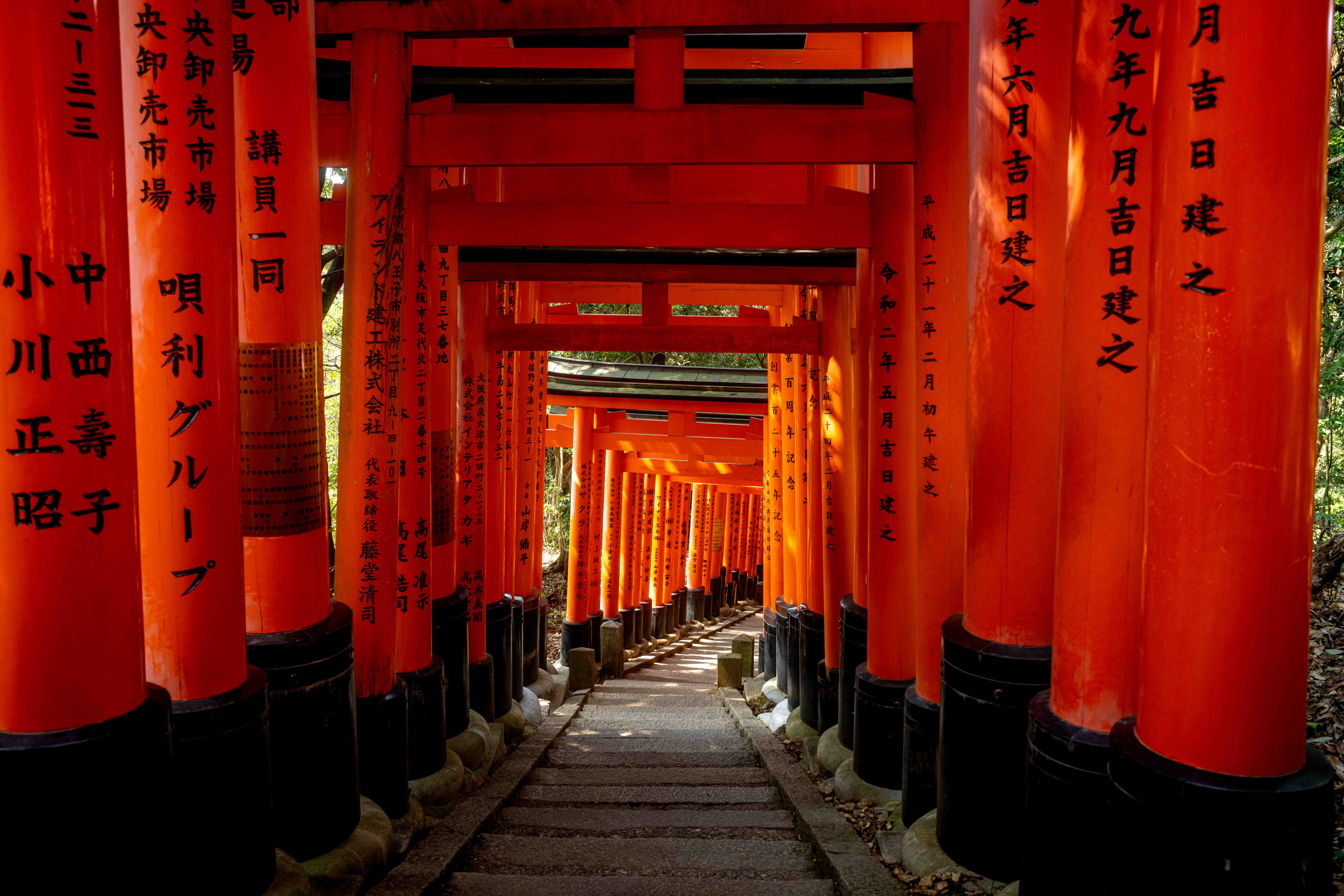 Photos from Tokyo and Kyoto, Japan, Spring 2026.