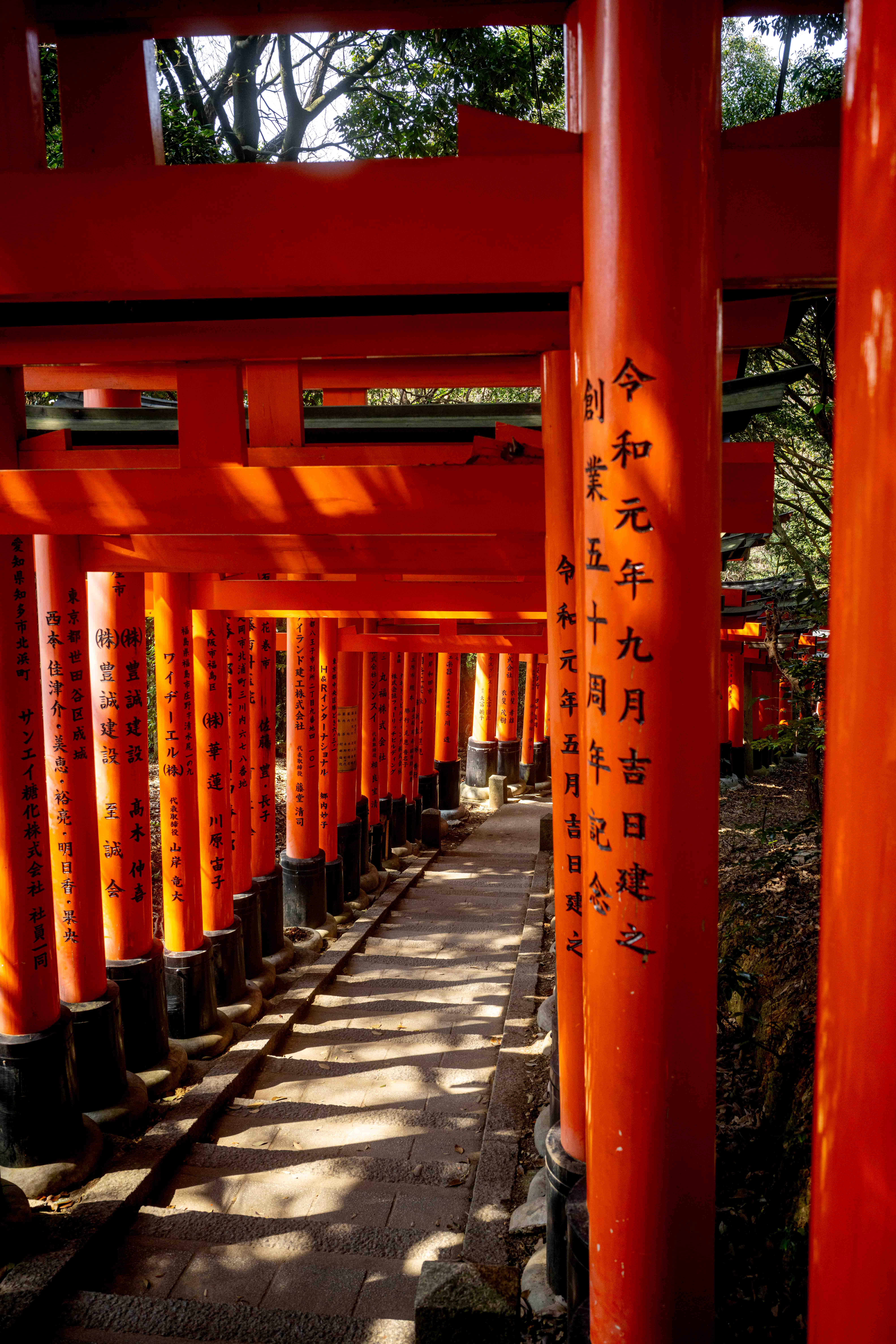 Photos from Tokyo and Kyoto, Japan, Spring 2026.