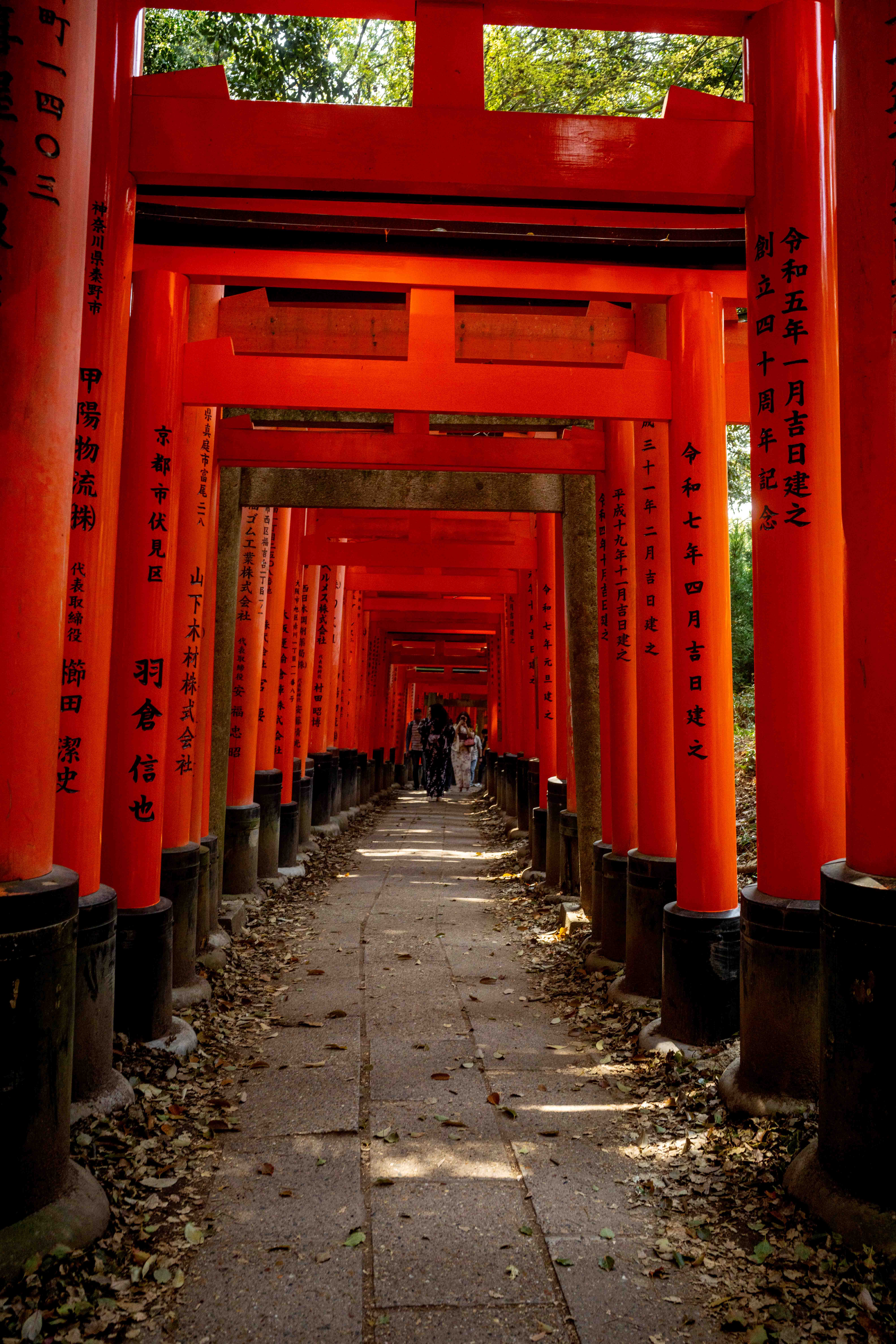 Photos from Tokyo and Kyoto, Japan, Spring 2026.