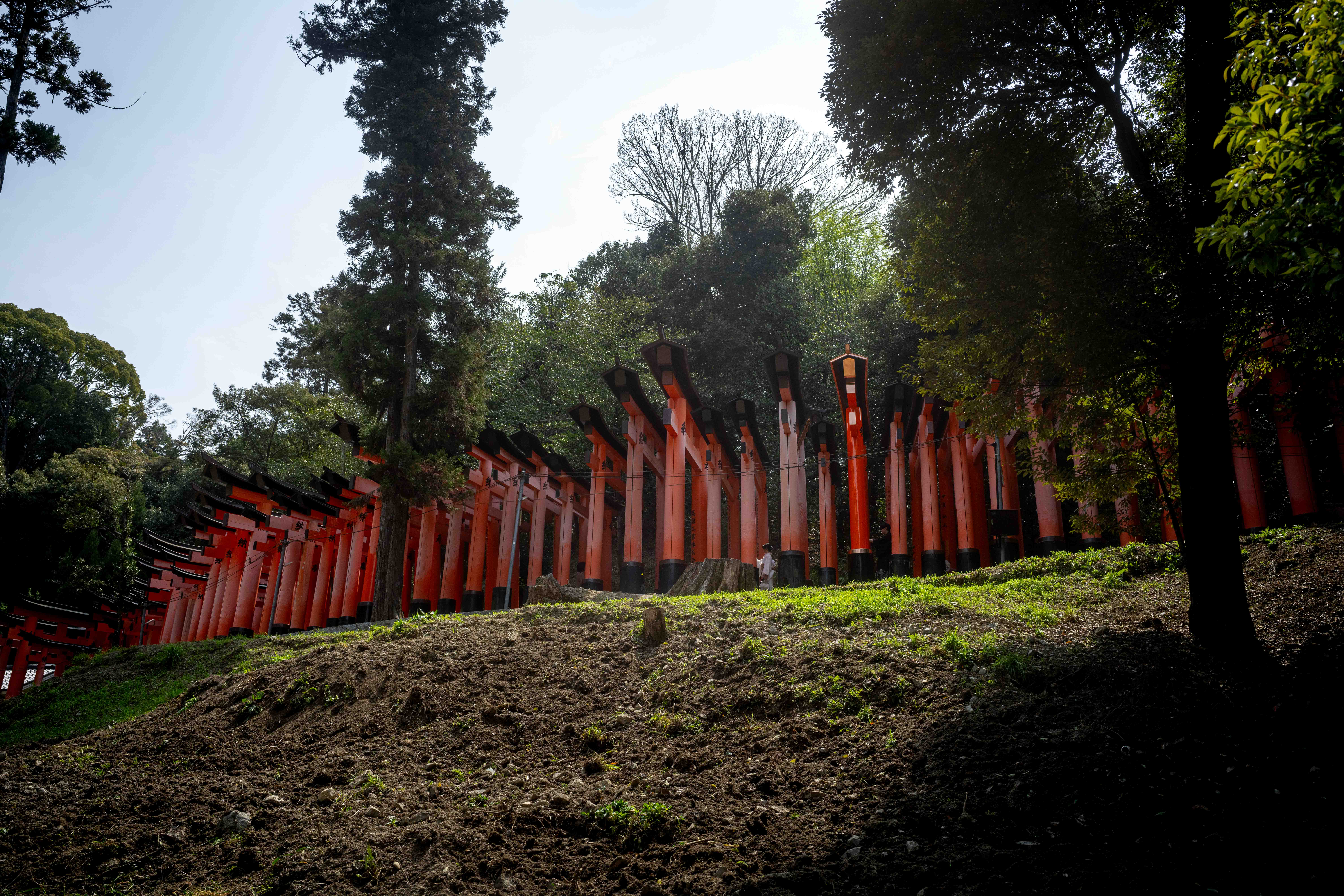 Photos from Tokyo and Kyoto, Japan, Spring 2026.