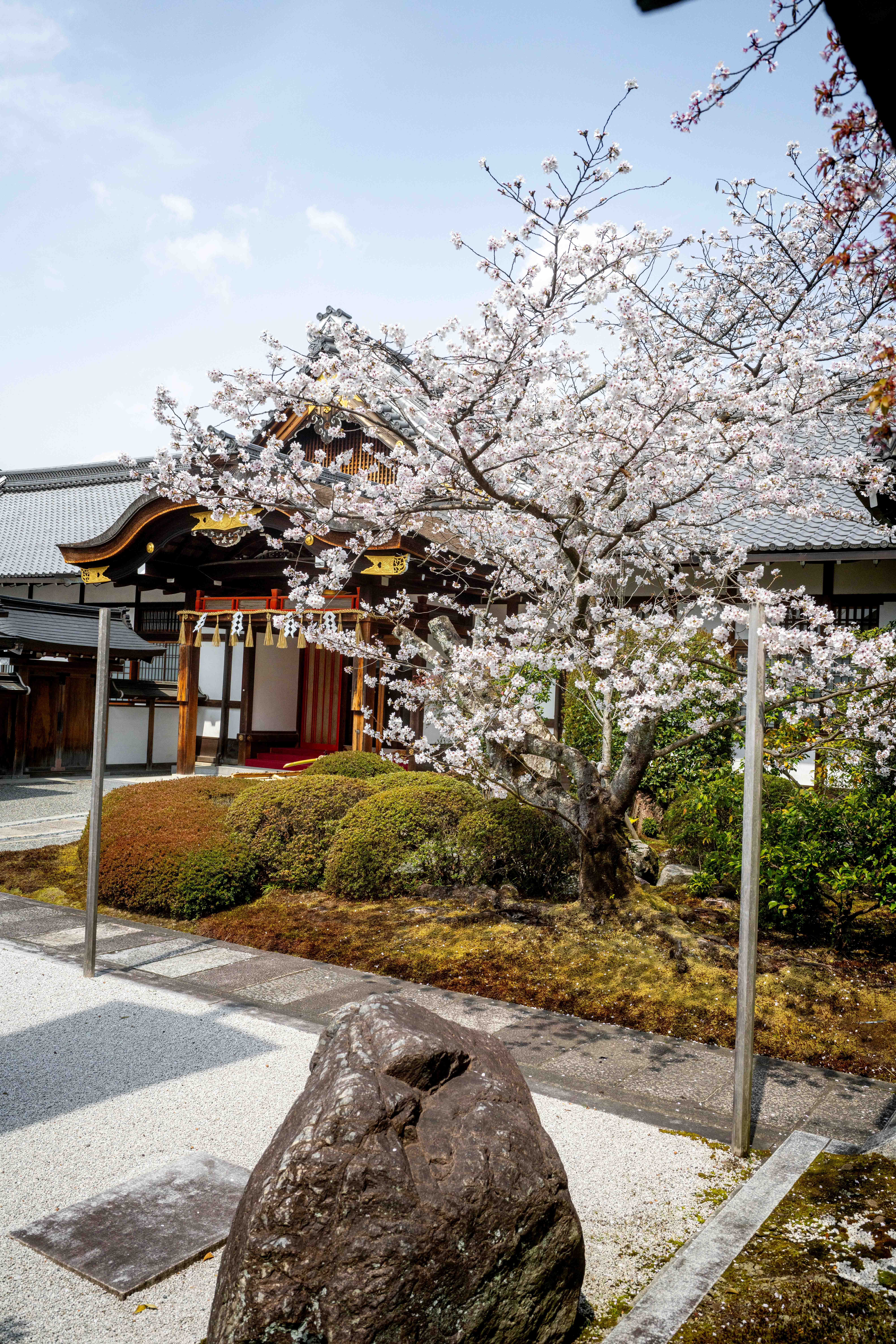 Photos from Tokyo and Kyoto, Japan, Spring 2026.