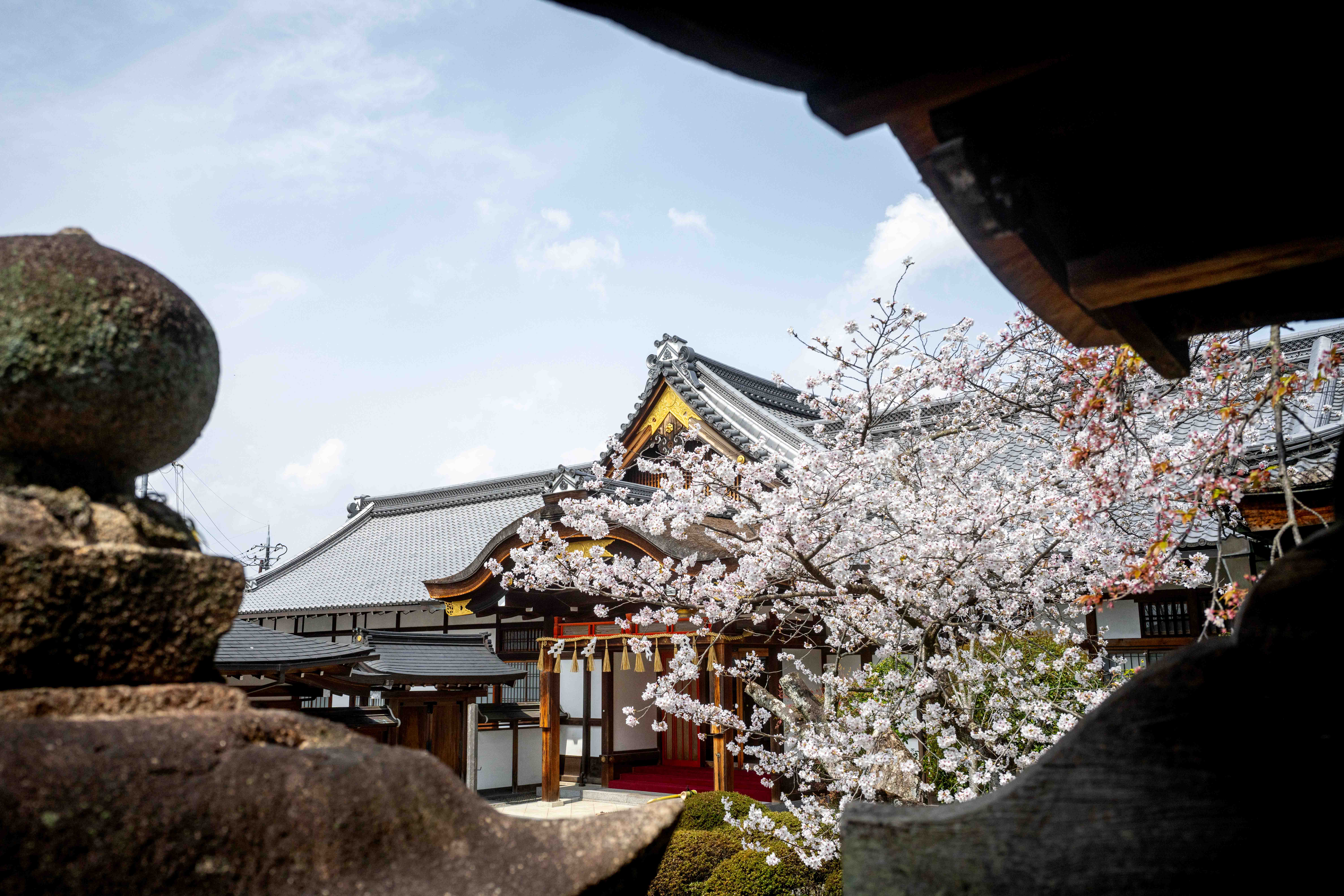 Photos from Tokyo and Kyoto, Japan, Spring 2026.