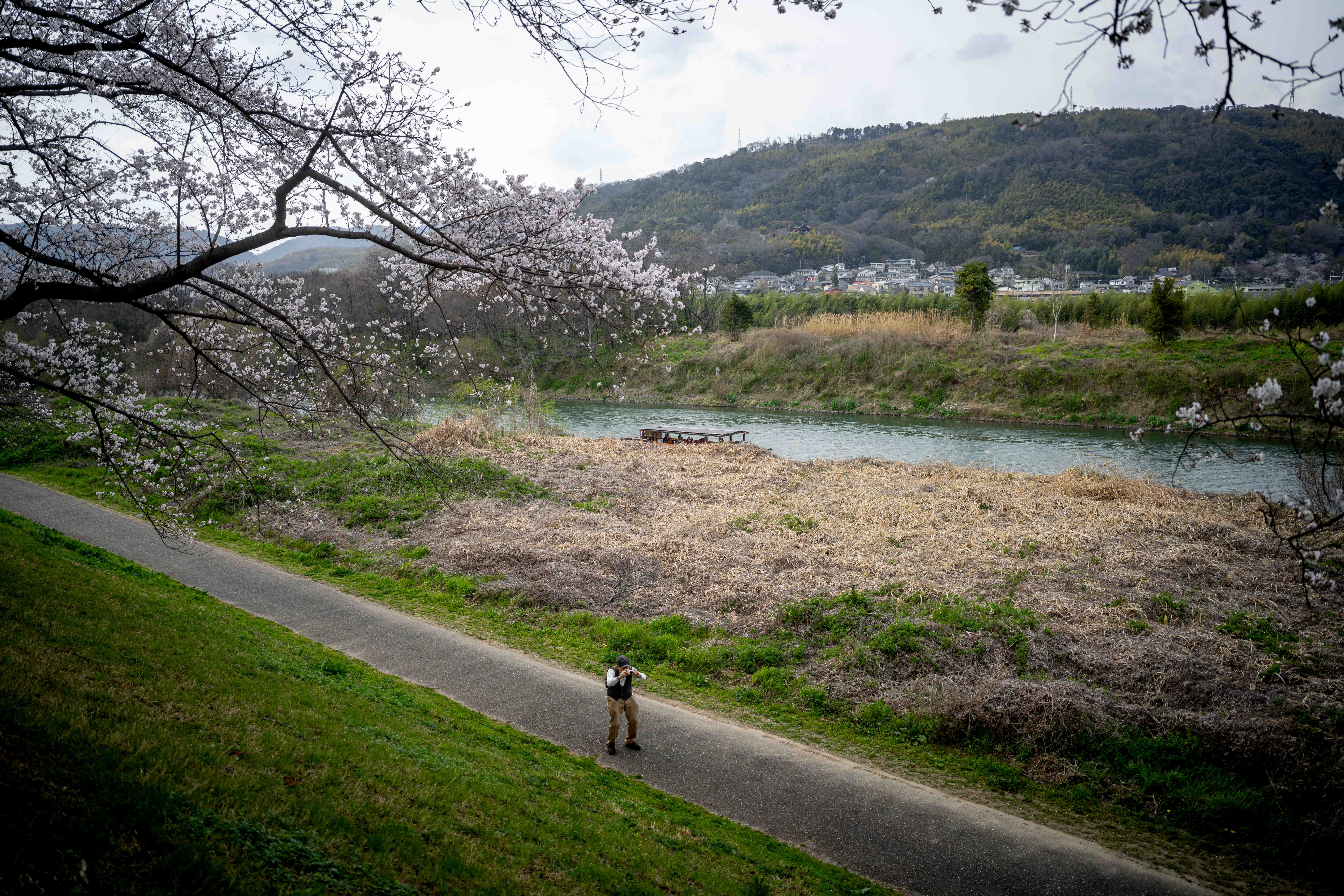 Photos from Tokyo and Kyoto, Japan, Spring 2026.