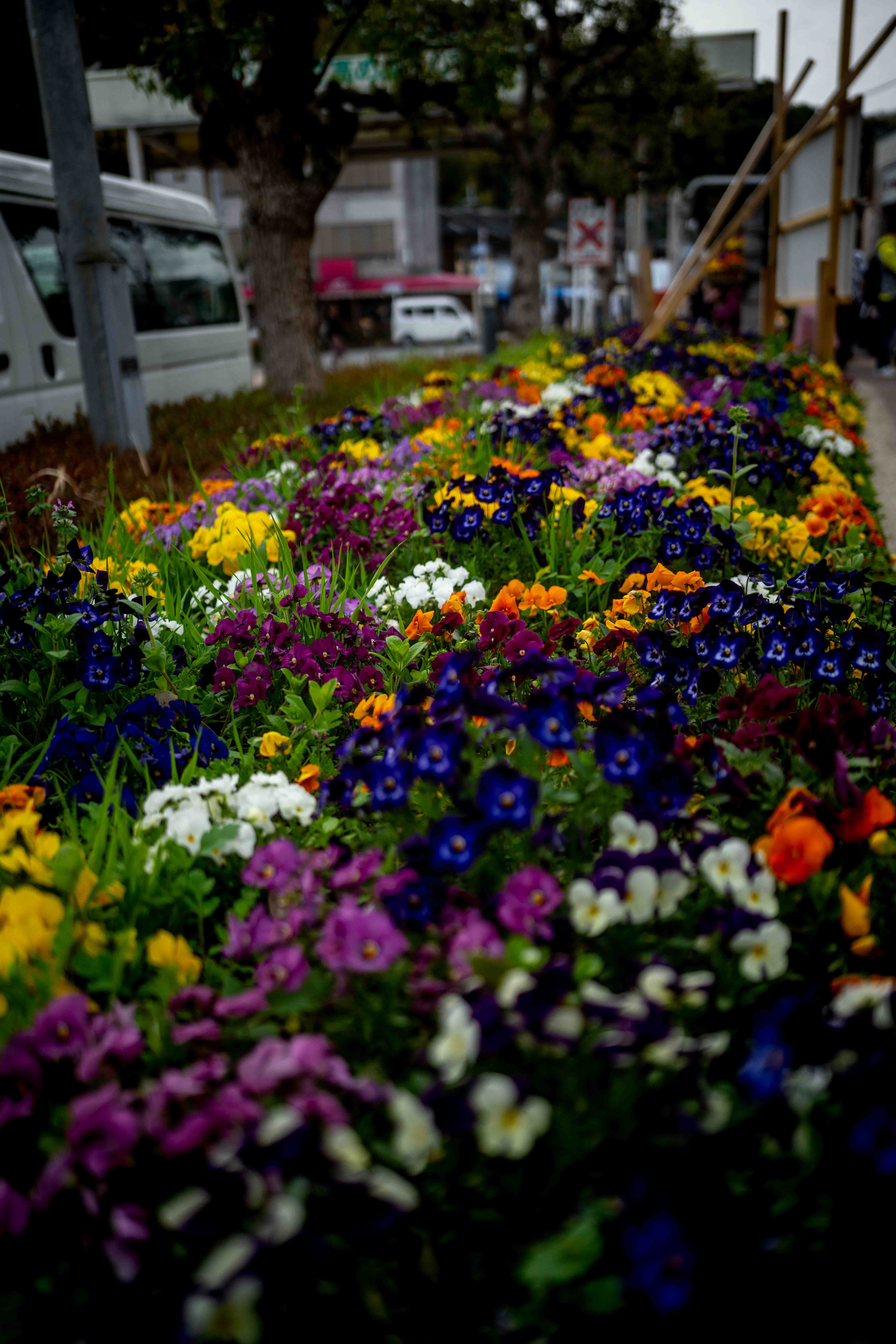 Photos from Tokyo and Kyoto, Japan, Spring 2026.